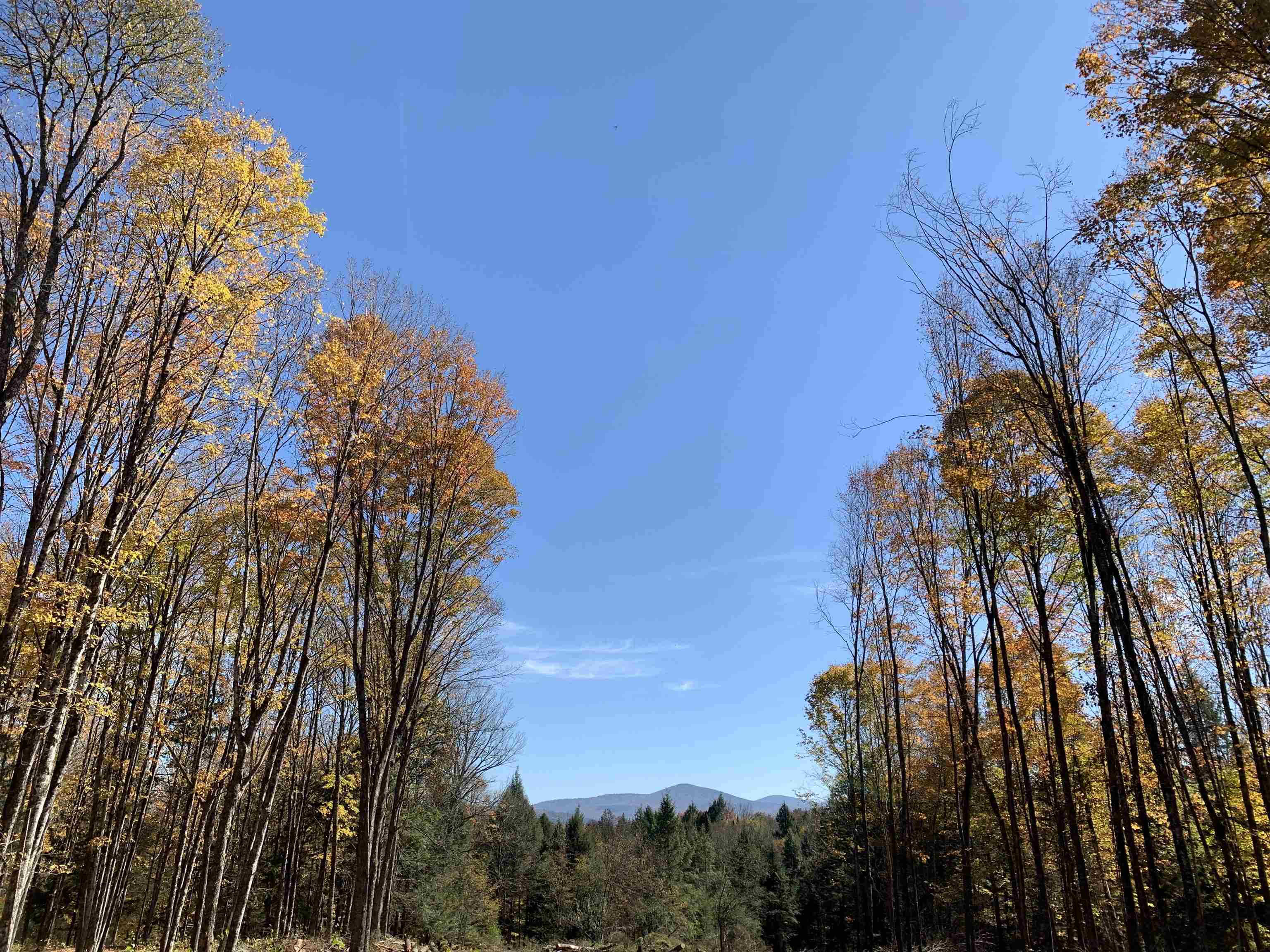 Homes for sale in East Montpelier, VT | 00 Vt Route 14, East Montpelier, VT 05651 | MLS# 5054698