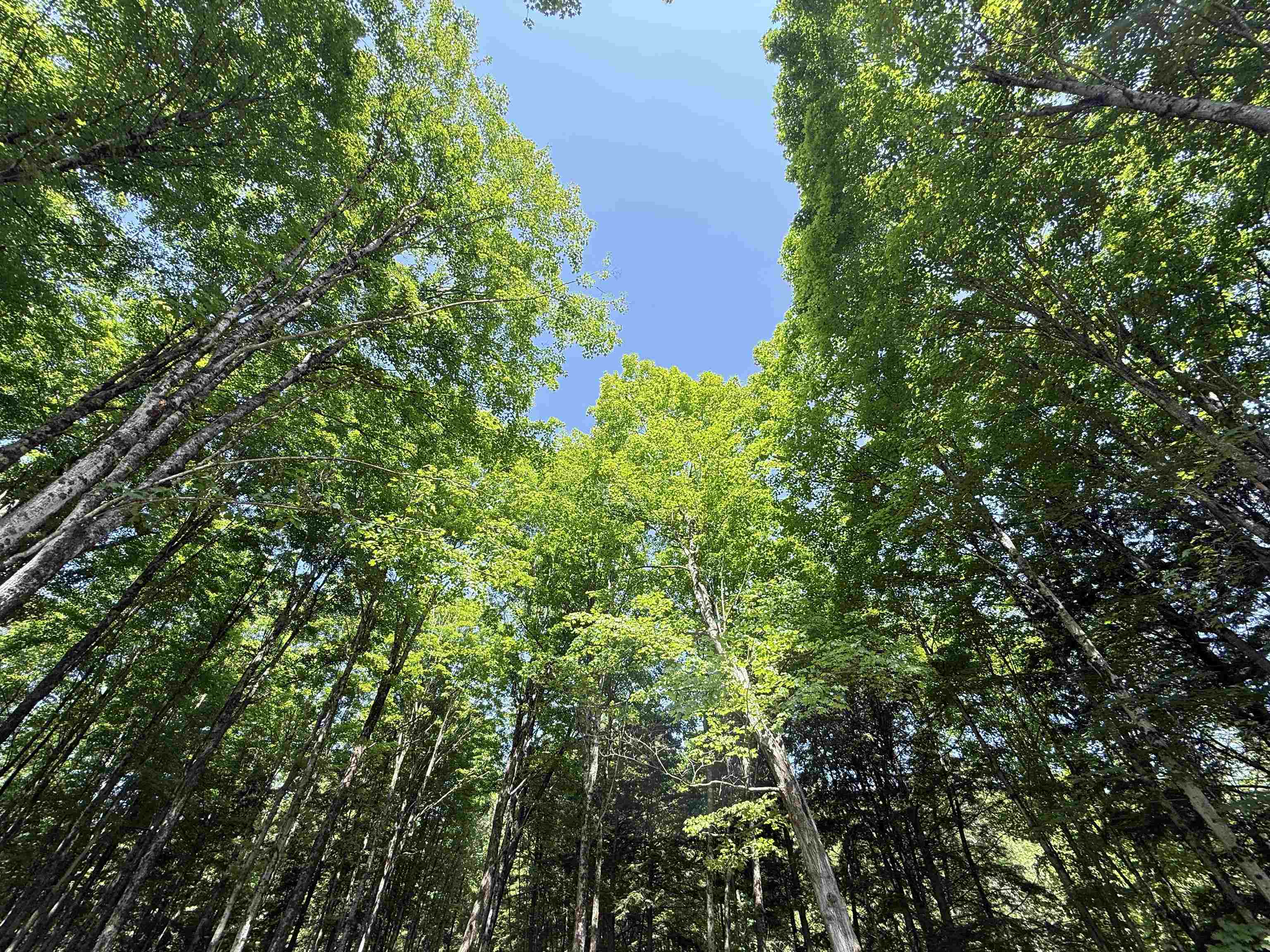 Homes for sale in East Montpelier, VT | 00 Vt Route 14, East Montpelier, VT 05651 | MLS# 5054698