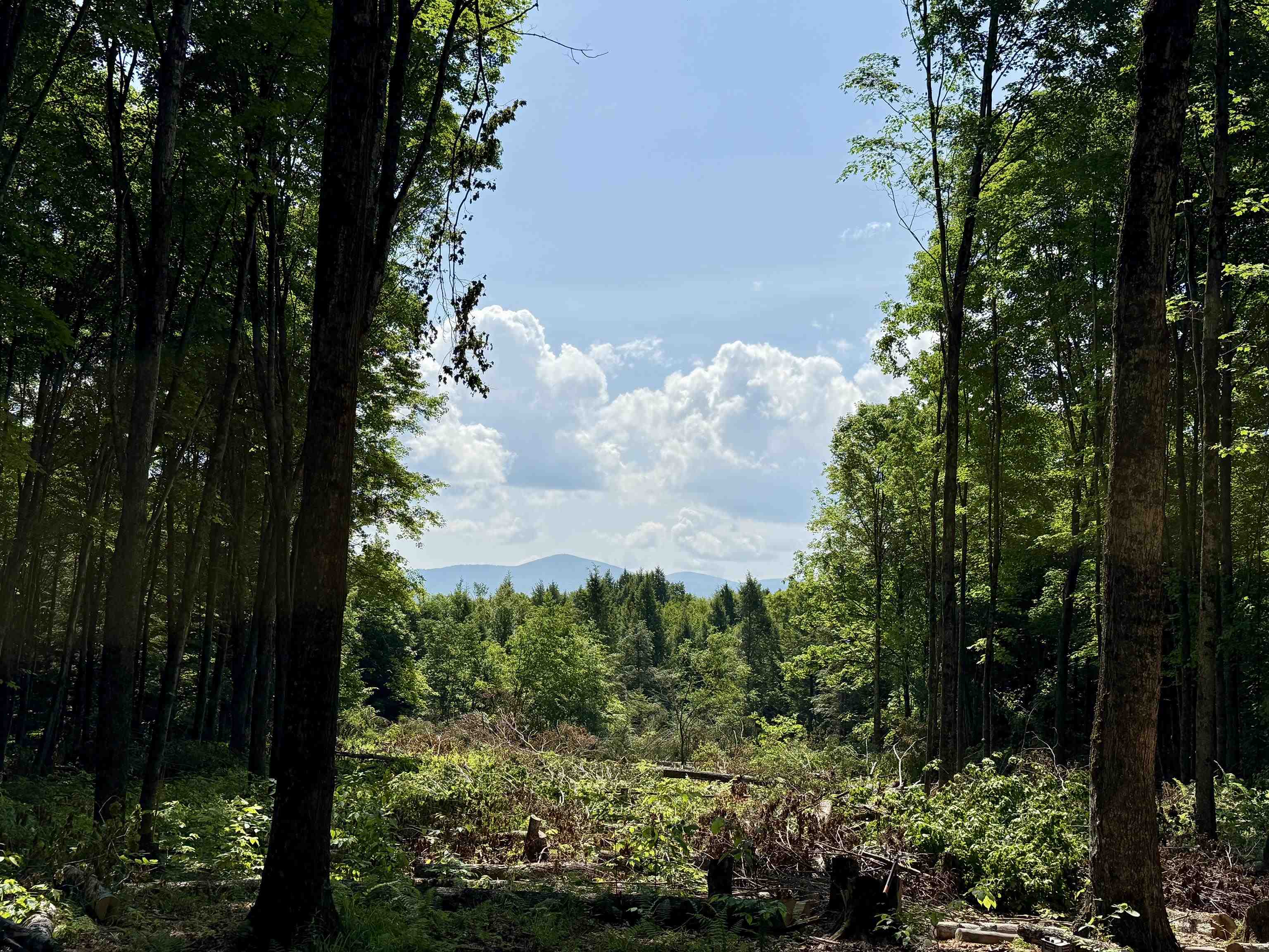 Homes for sale in East Montpelier, VT | 00 Vt Route 14, East Montpelier, VT 05651 | MLS# 5054698