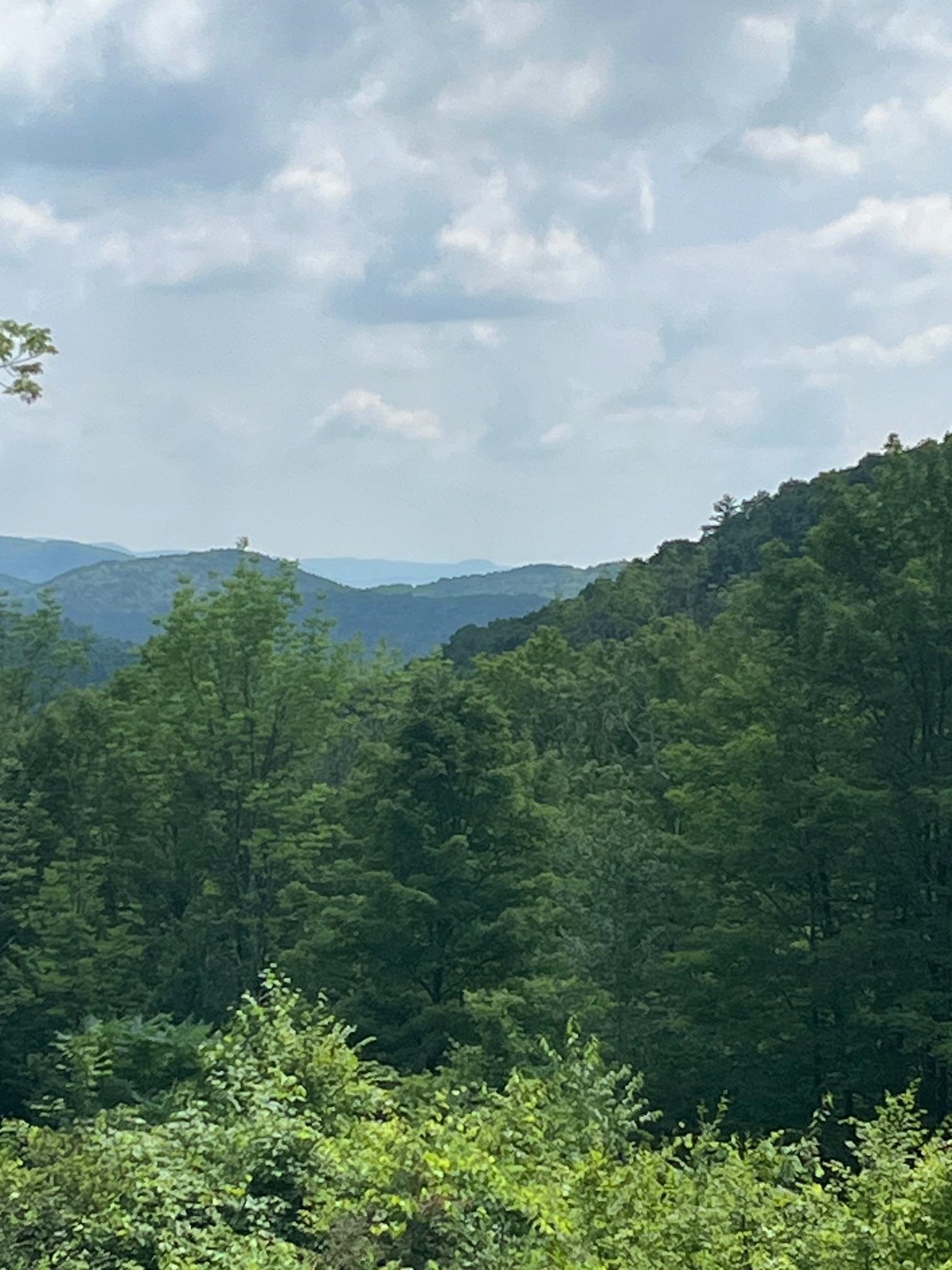 Homes for sale in Poultney, VT | 00 Finel Hollow Rd, Poultney, VT 05764 | MLS# 5054743