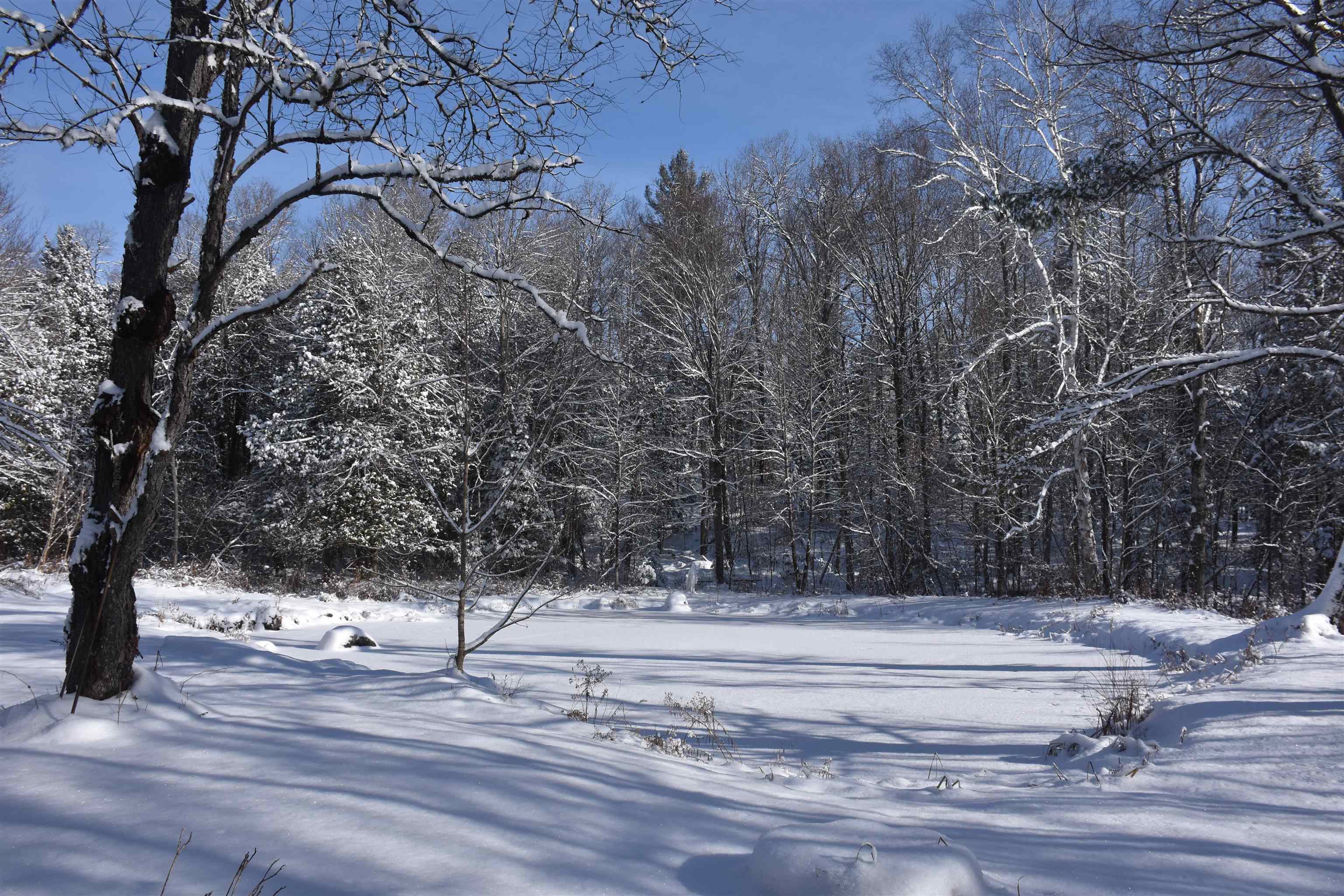 Homes for sale in Marshfield, VT | 1078 Brook Rd, Marshfield, VT 05658 | MLS# 5054793