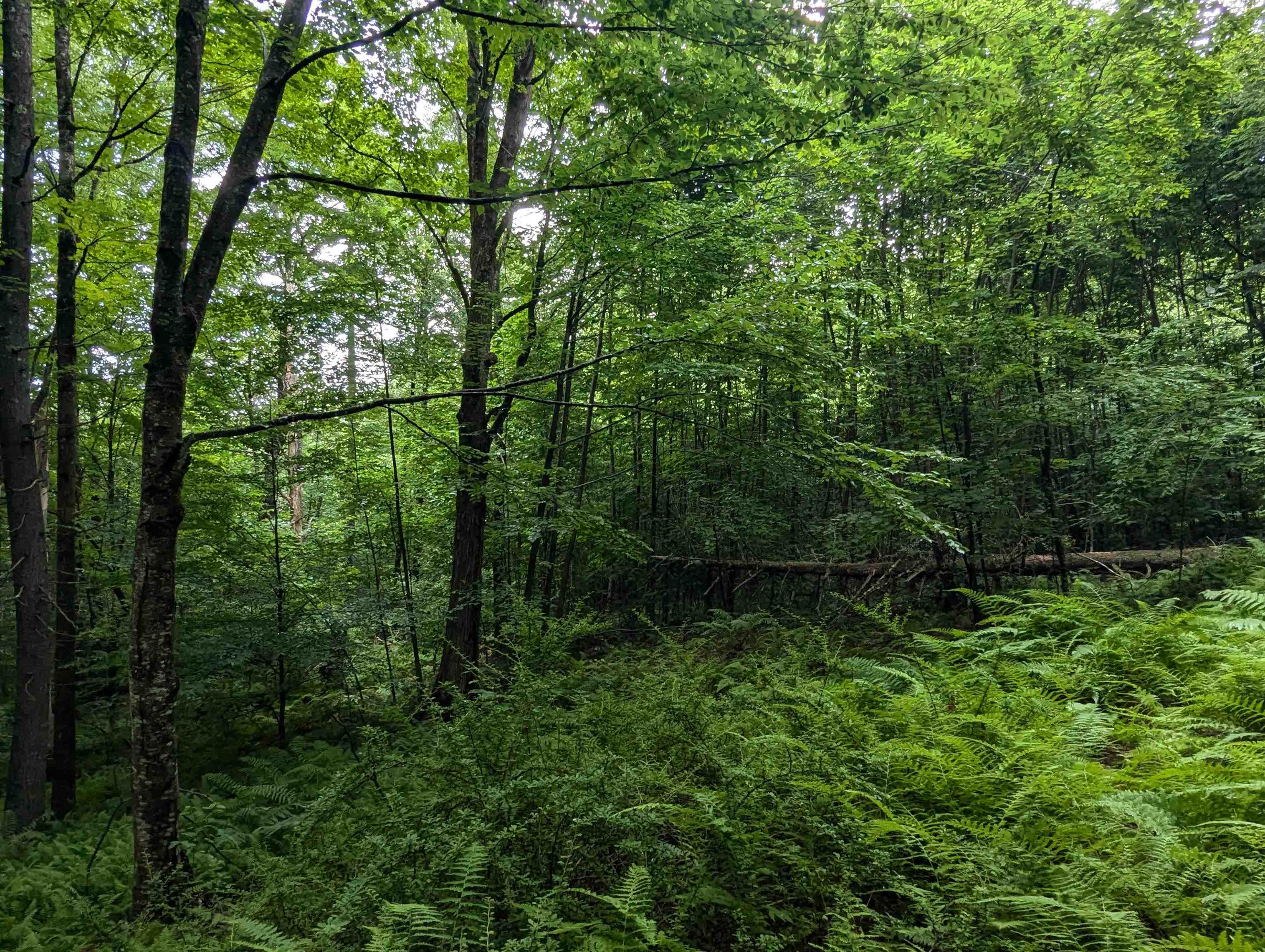 Homes for sale in Newfane, VT | 0 Dover Rd, Newfane, VT 05351 | MLS# 5054979