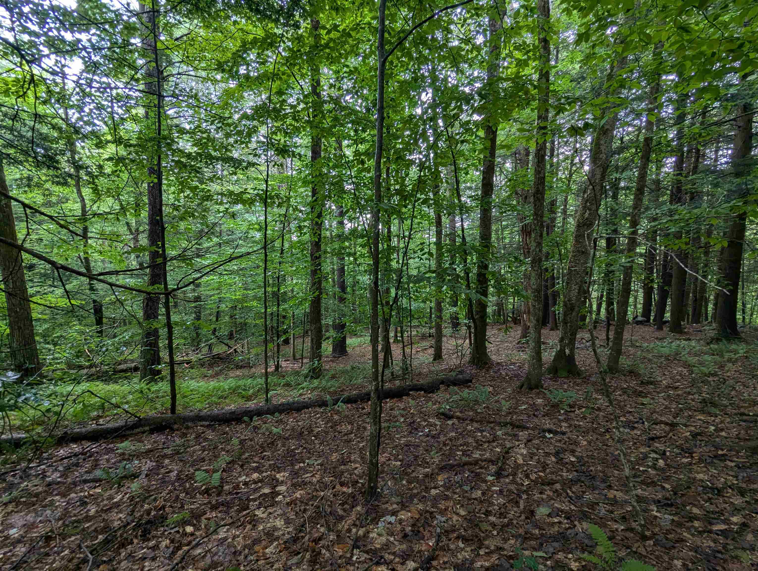 Homes for sale in Newfane, VT | 0 Dover Rd, Newfane, VT 05351 | MLS# 5054979