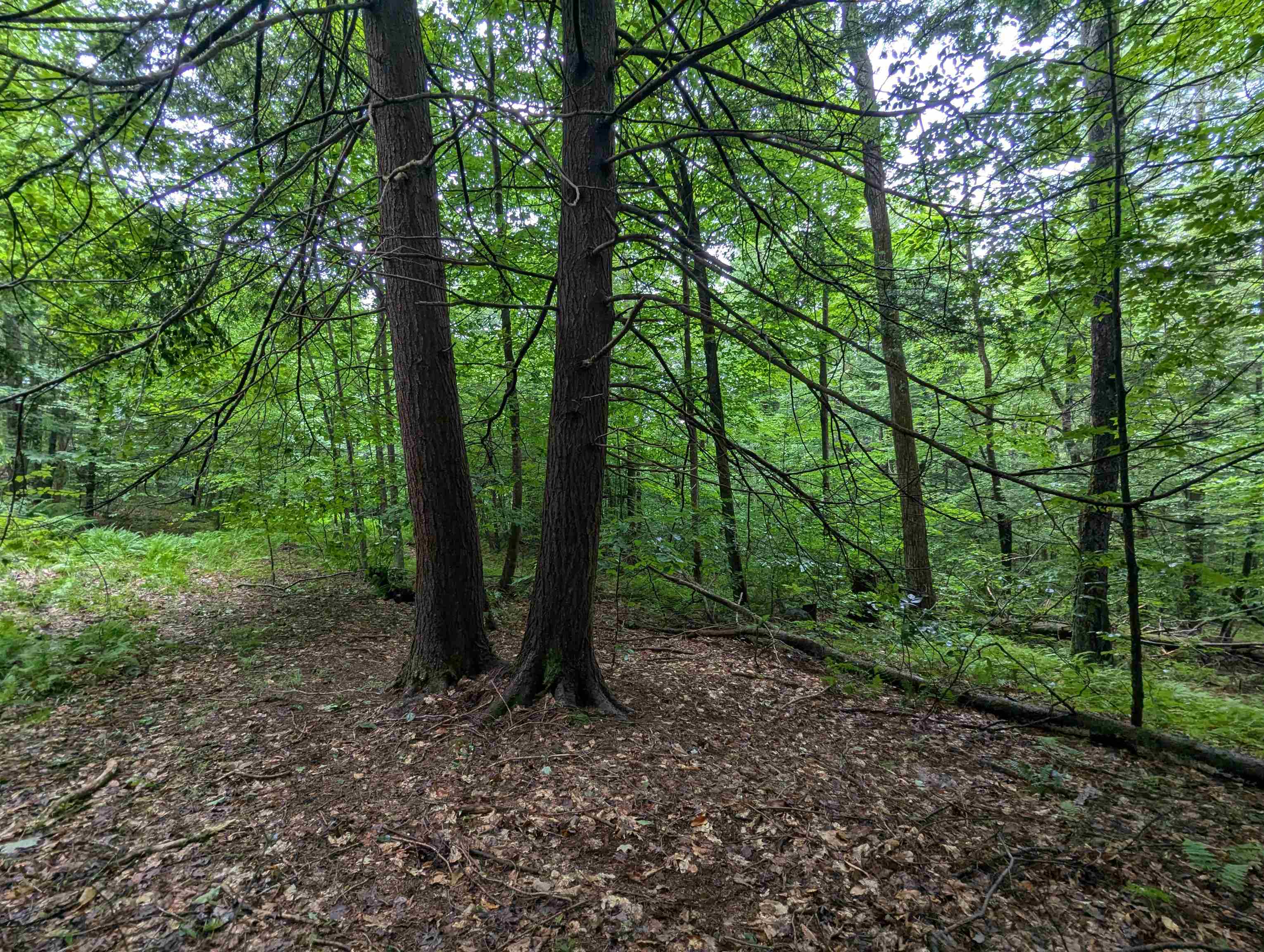 Homes for sale in Newfane, VT | 0 Dover Rd, Newfane, VT 05351 | MLS# 5054979