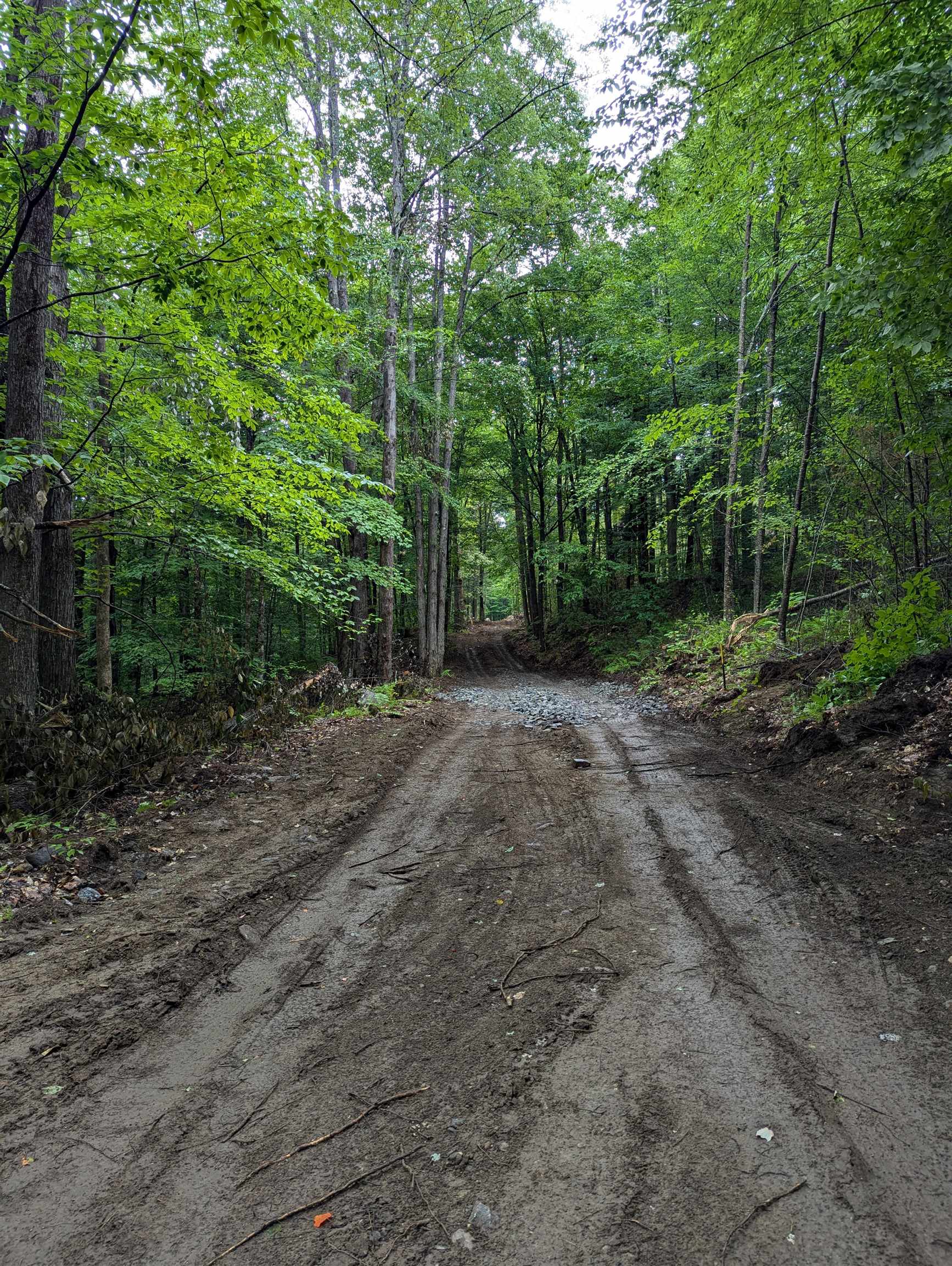 Homes for sale in Newfane, VT | 0 Dover Rd, Newfane, VT 05351 | MLS# 5054979