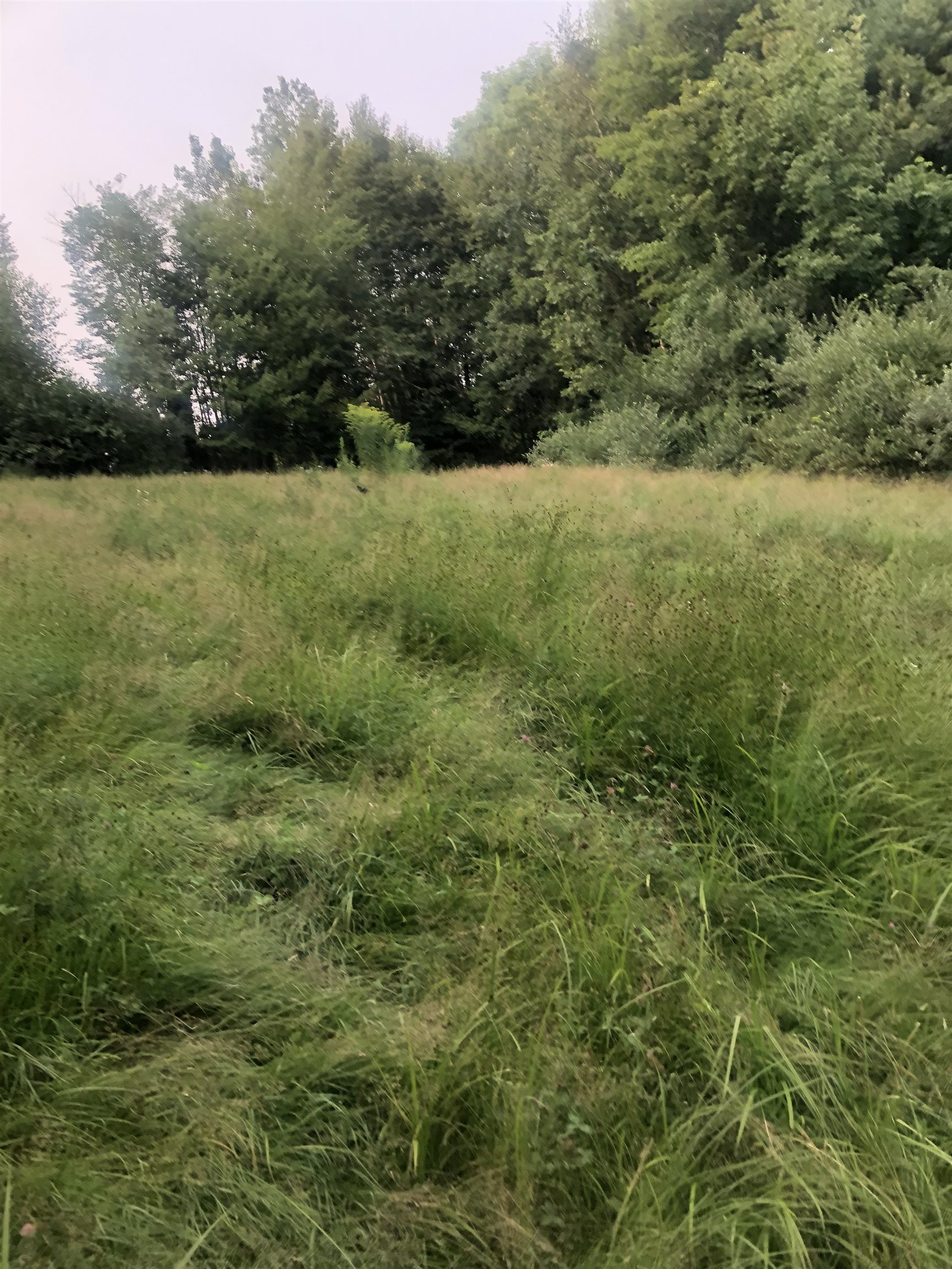 Homes for sale in Gilsum, NH | Lot 4 Belvedere Rd, Gilsum, NH 03448 | MLS# 5055057