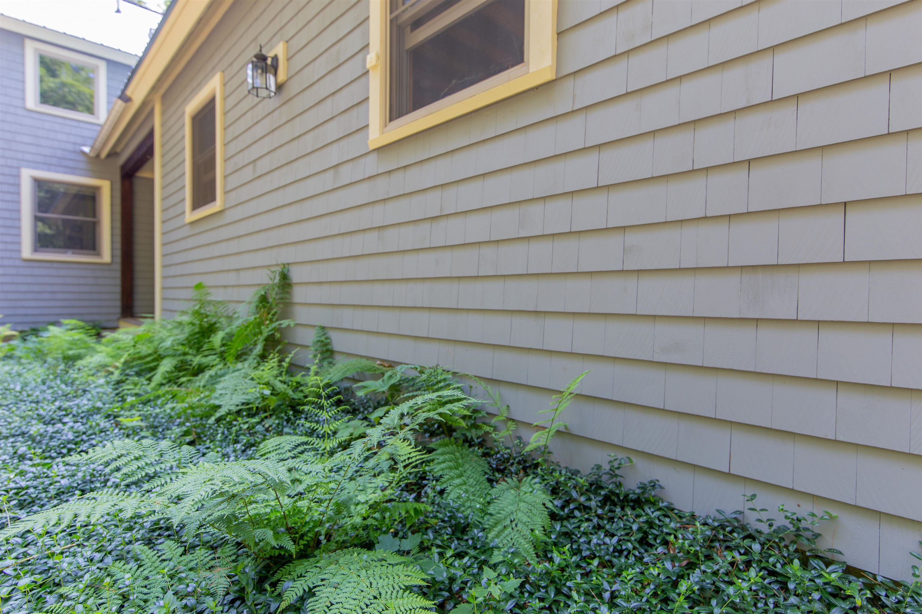 MLS #5055106 image #10