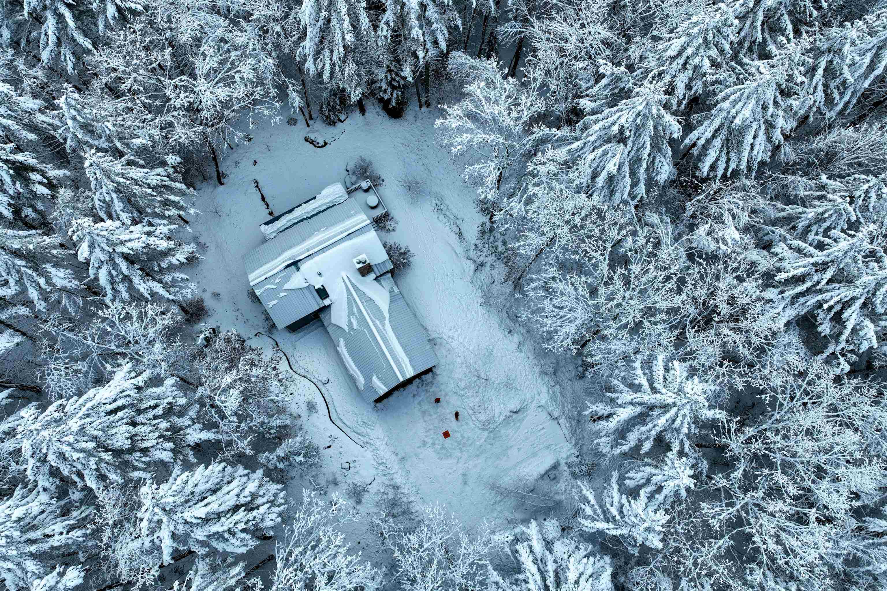 MLS #5055106 image #7