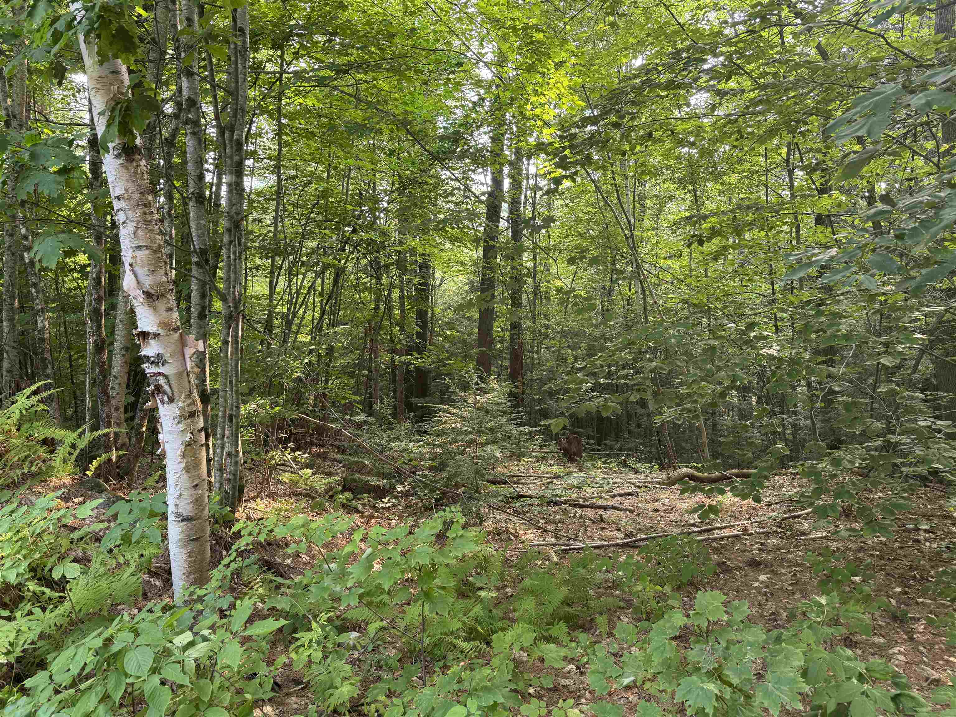 Homes for sale in Ossipee, NH | 190 Circuit Rd, Ossipee, NH 03864 | MLS# 5055110