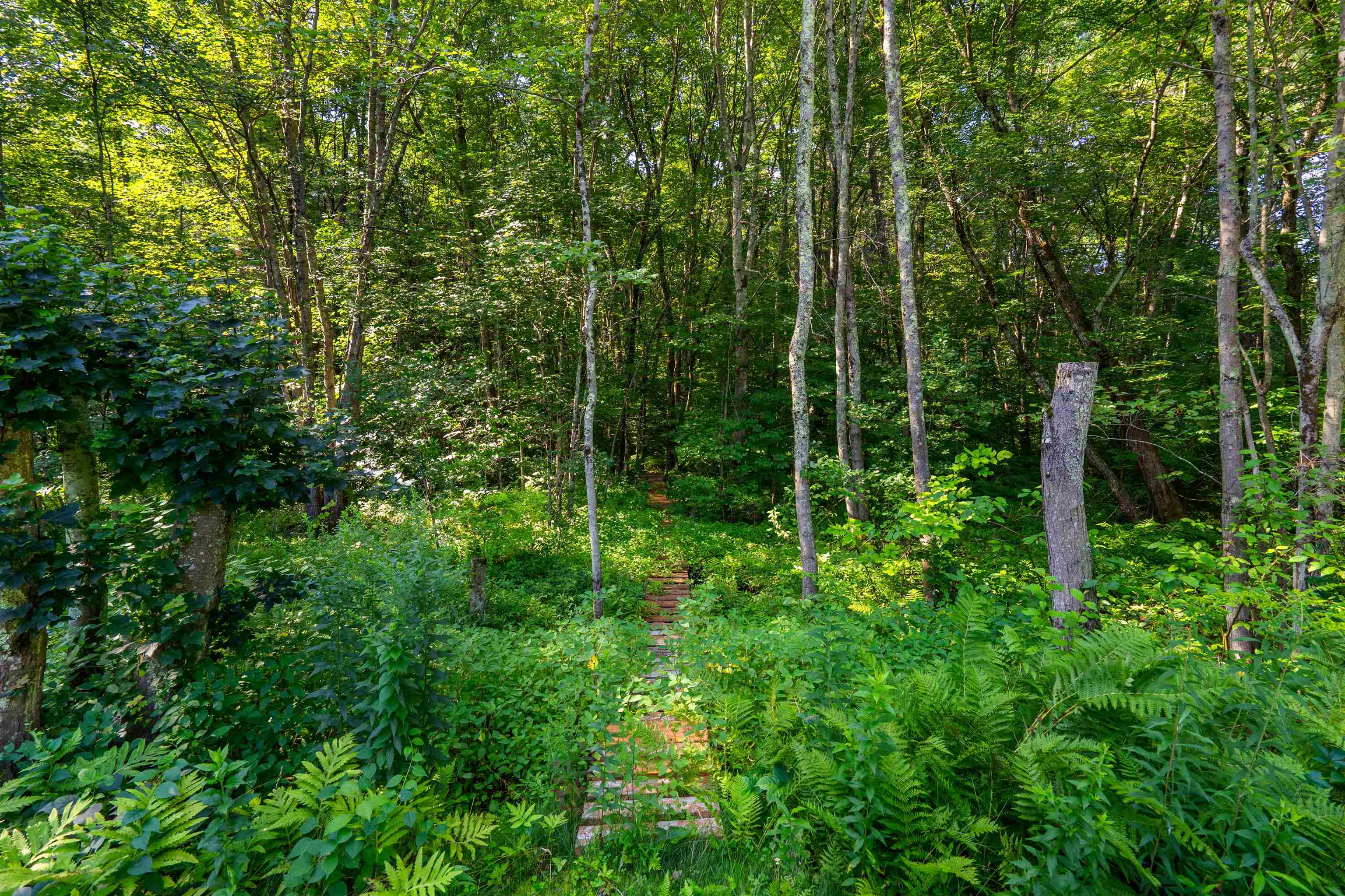 3 Kennedy Dr, Pelham, NH 03076