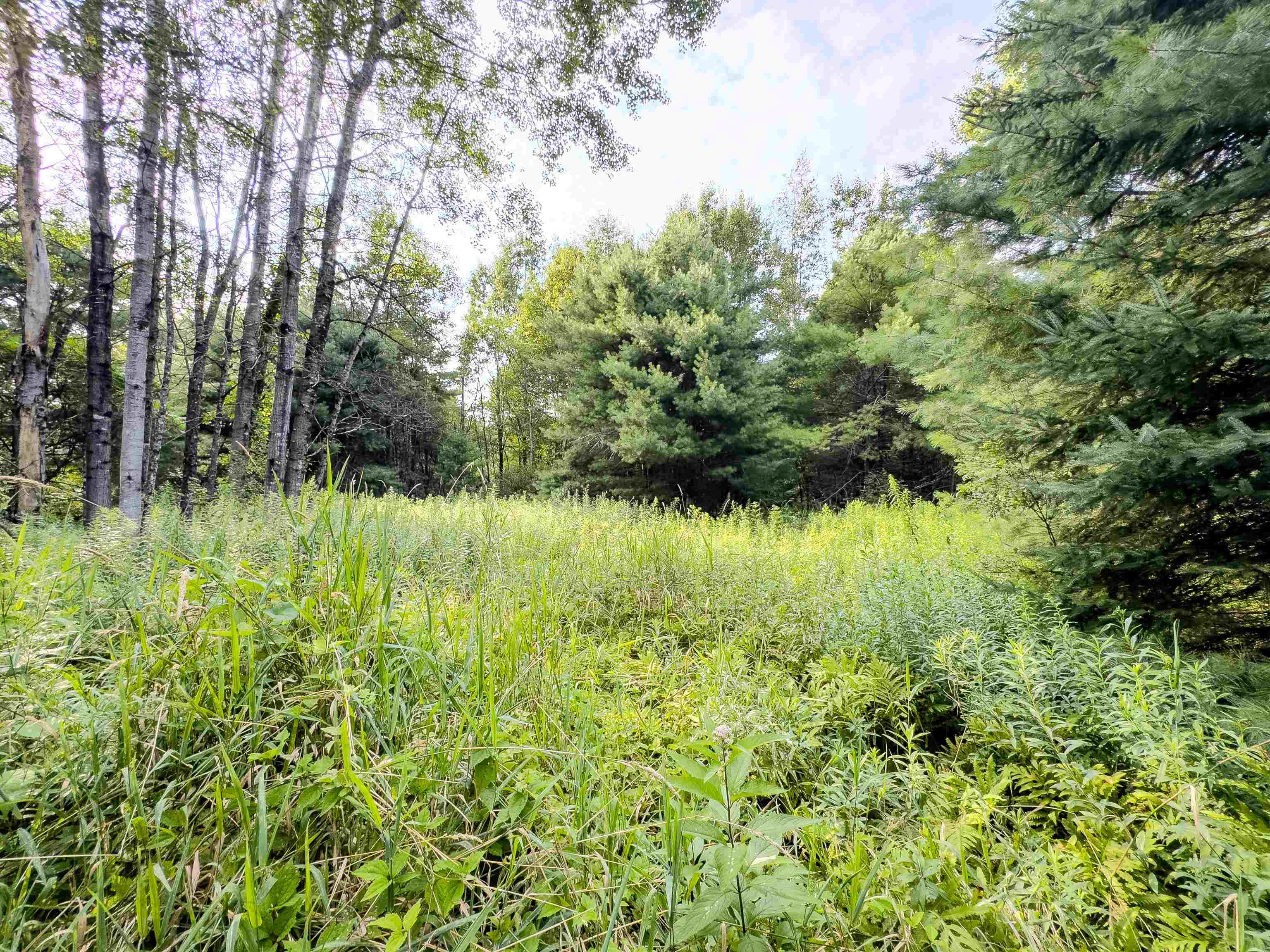 Monroe NH Land for sale $$74,900 | 4.8 Acres  | Price Per Acre $0 