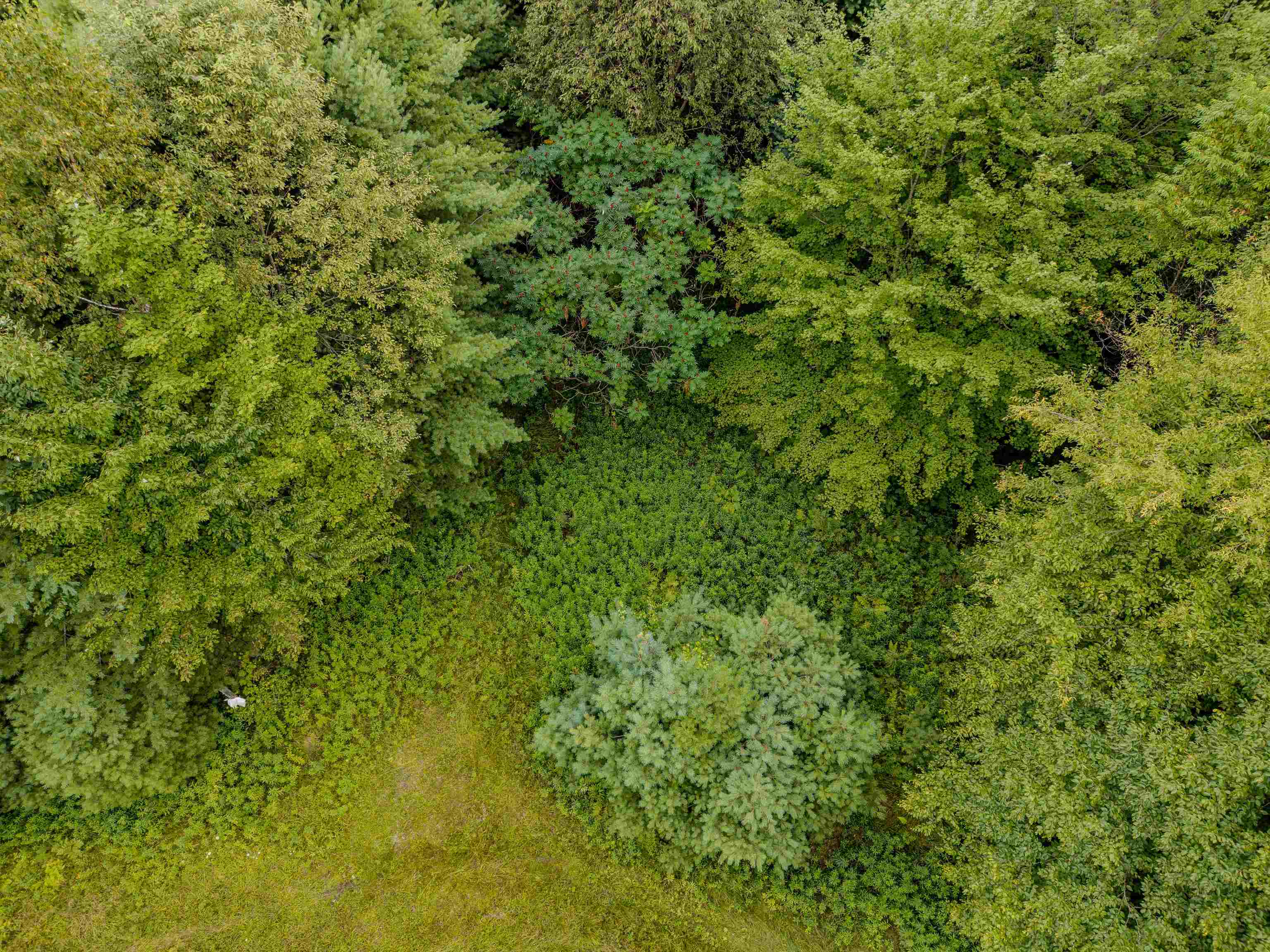 00 Woodsville Rd, Monroe, NH 03771