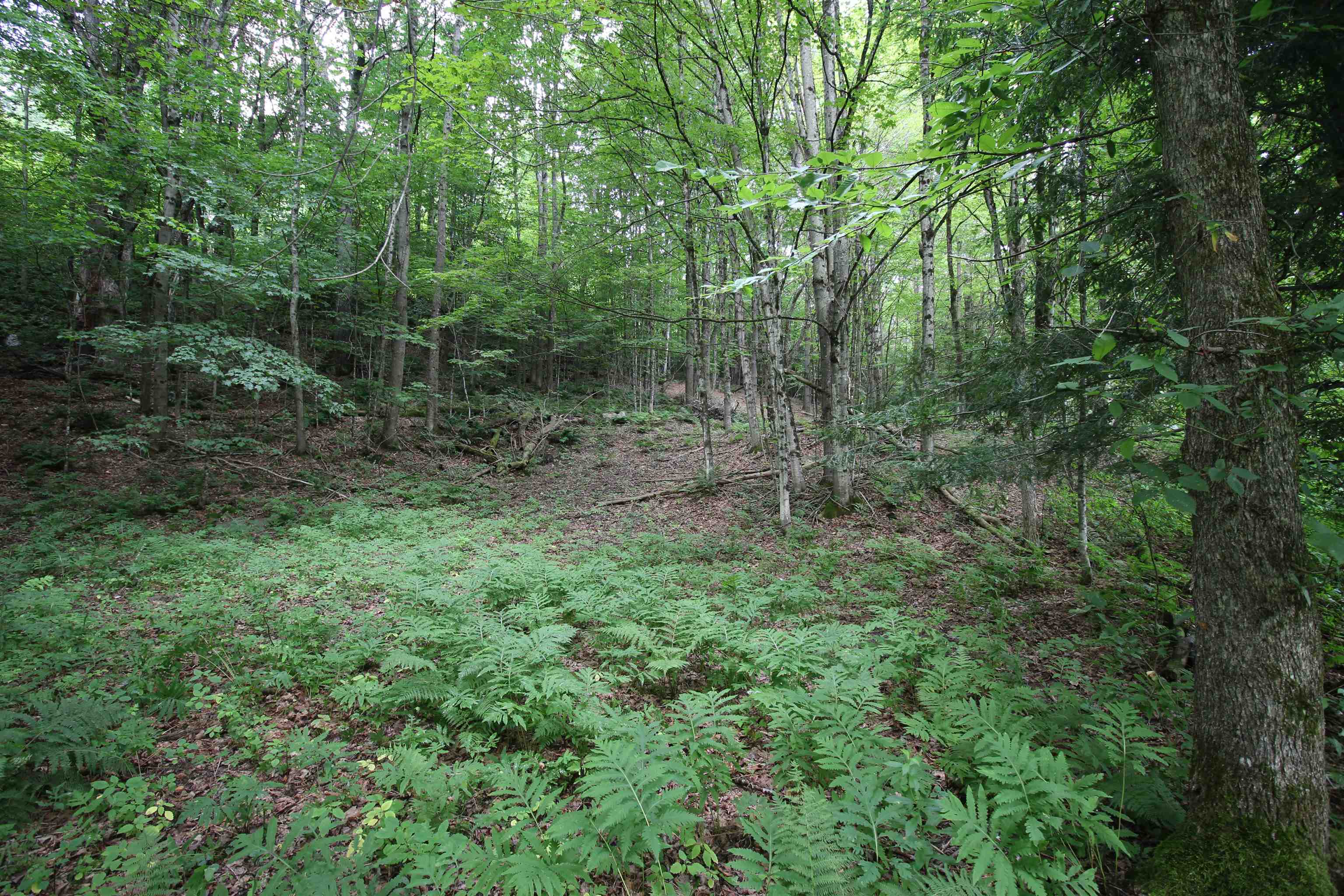 Homes for sale in Pittsfield, VT | 360 Liberty Hill Rd, Pittsfield, VT 05762 | MLS# 5055283