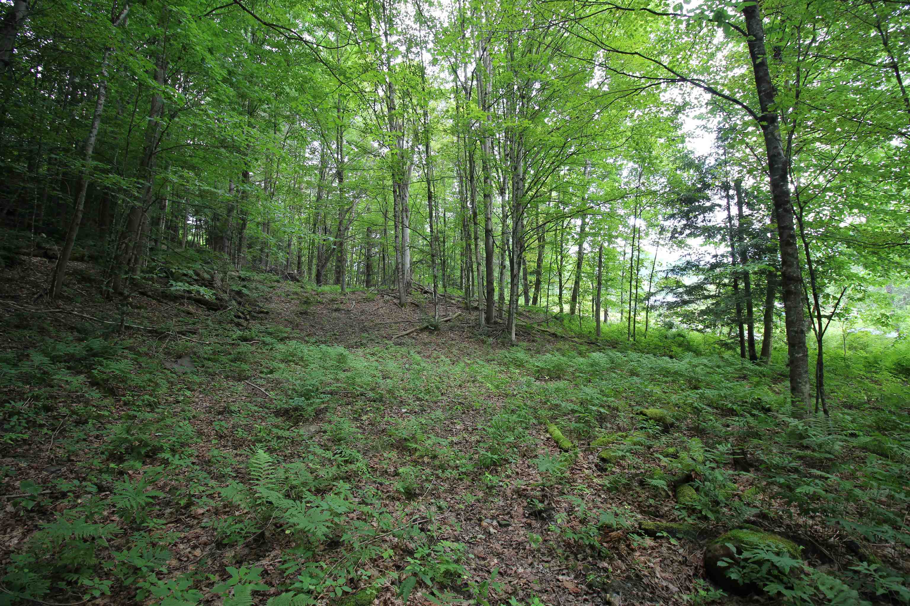 Homes for sale in Pittsfield, VT | 360 Liberty Hill Rd, Pittsfield, VT 05762 | MLS# 5055283