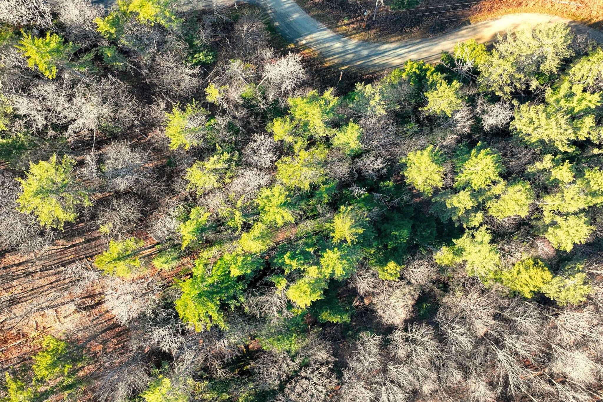 Homes for sale in Ludlow, VT | 00 Partridge Rd, Ludlow, VT 05149 | MLS# 5055287