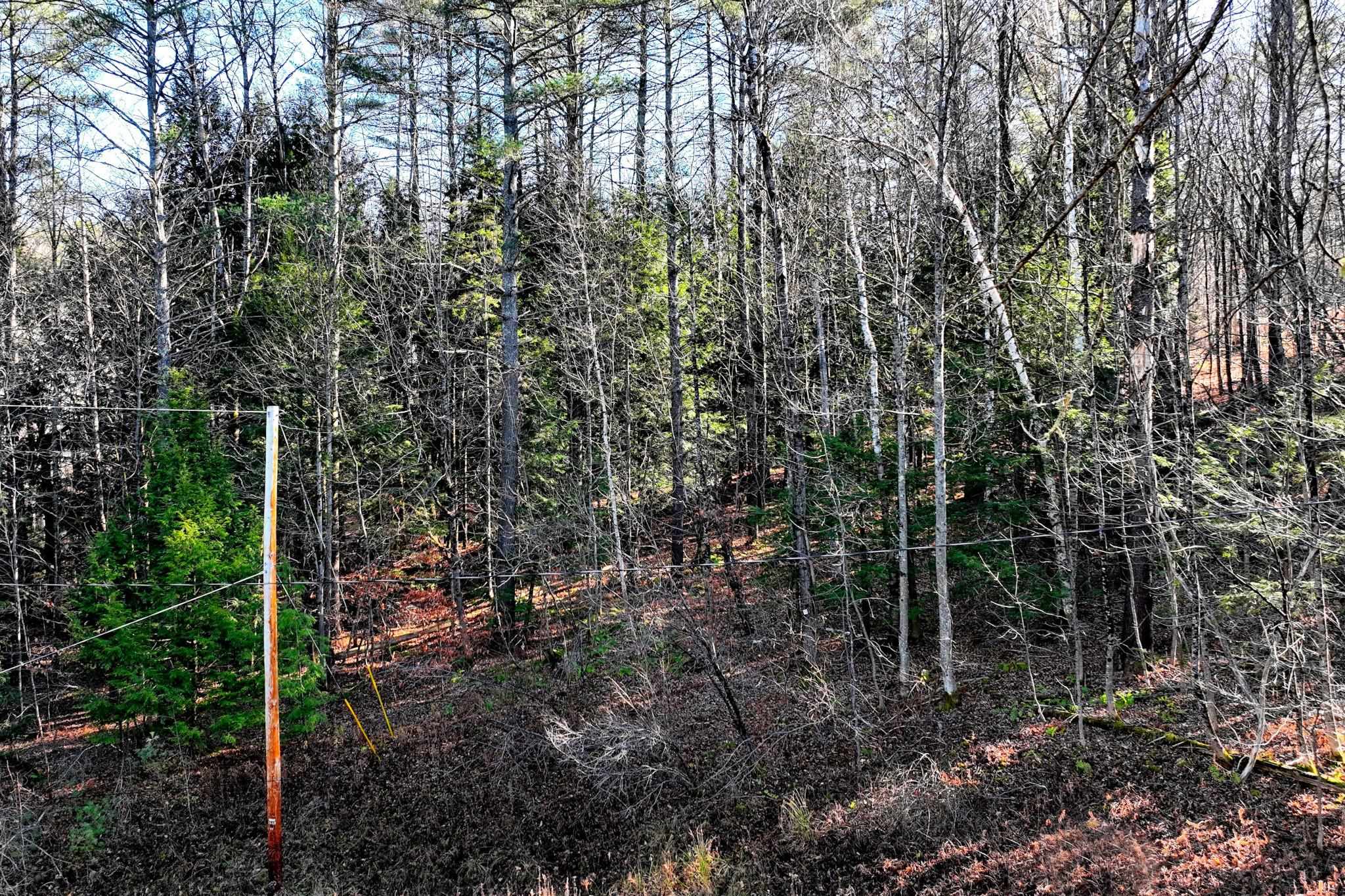 Homes for sale in Ludlow, VT | 00 Partridge Rd, Ludlow, VT 05149 | MLS# 5055287