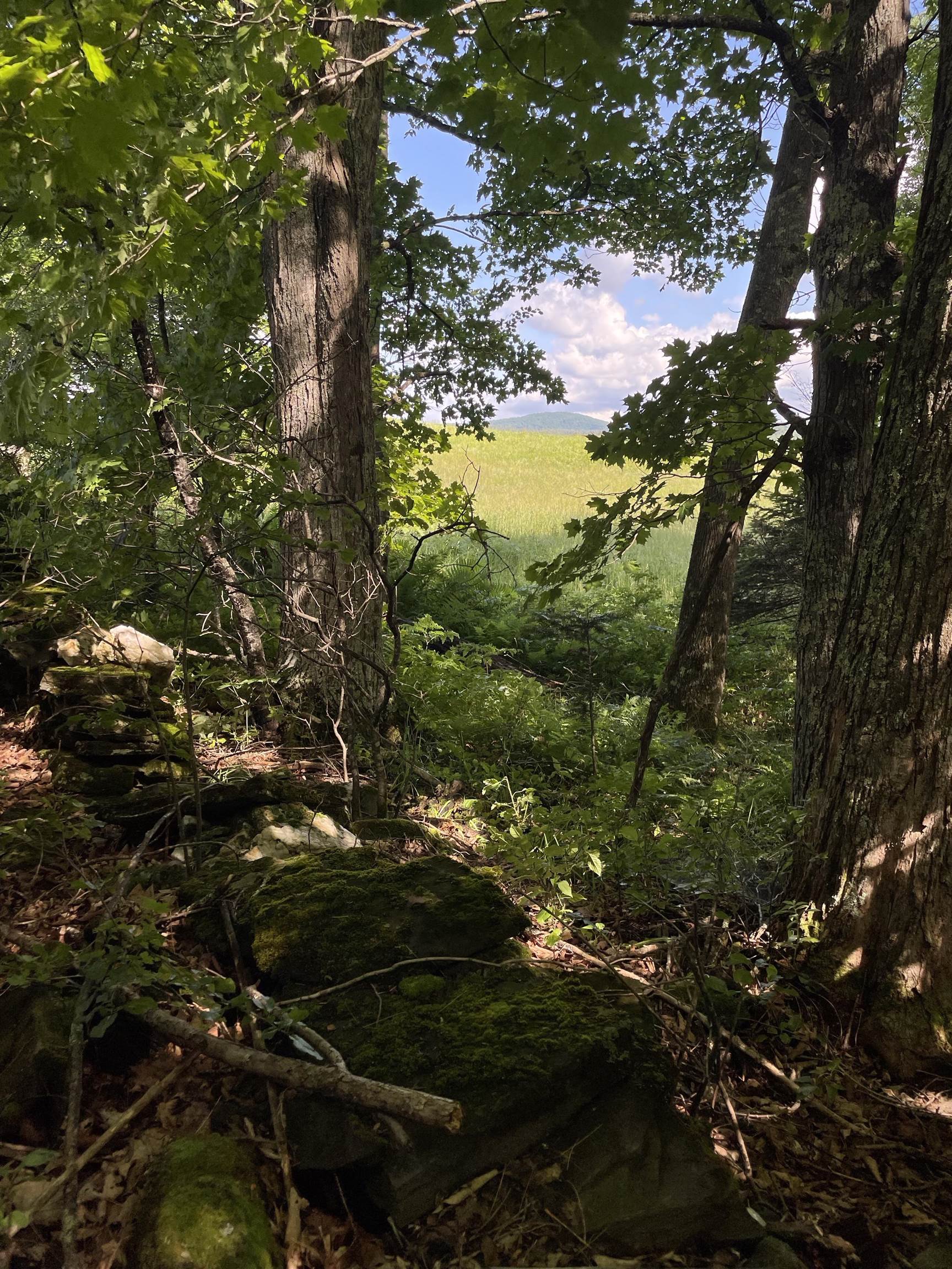 Calais VT Land for sale $$295,000 | 61.4 Acres  | Price Per Acre $0  | Total Lots 2