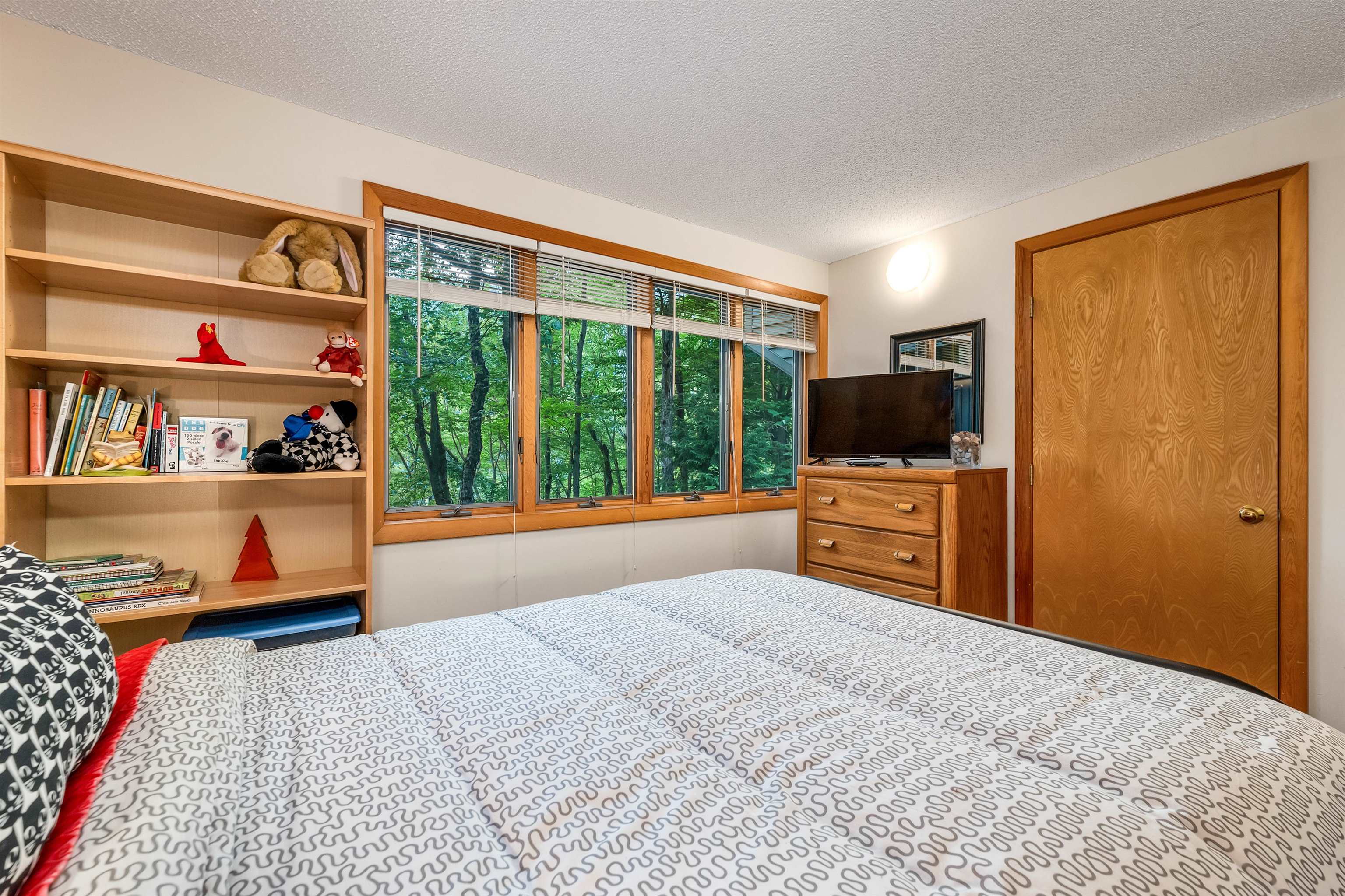 MLS #5055329 image #41