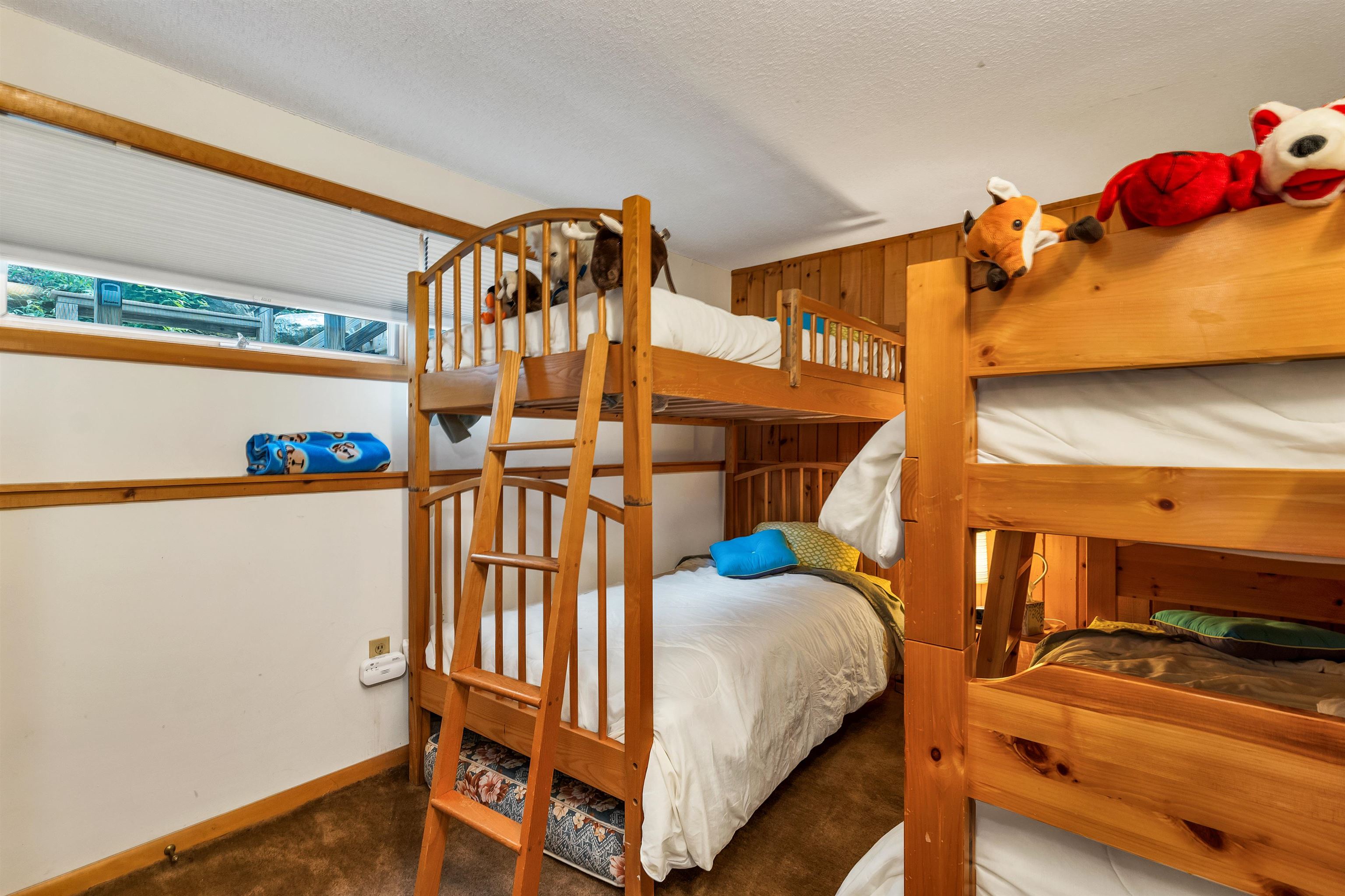 MLS #5055329 image #43