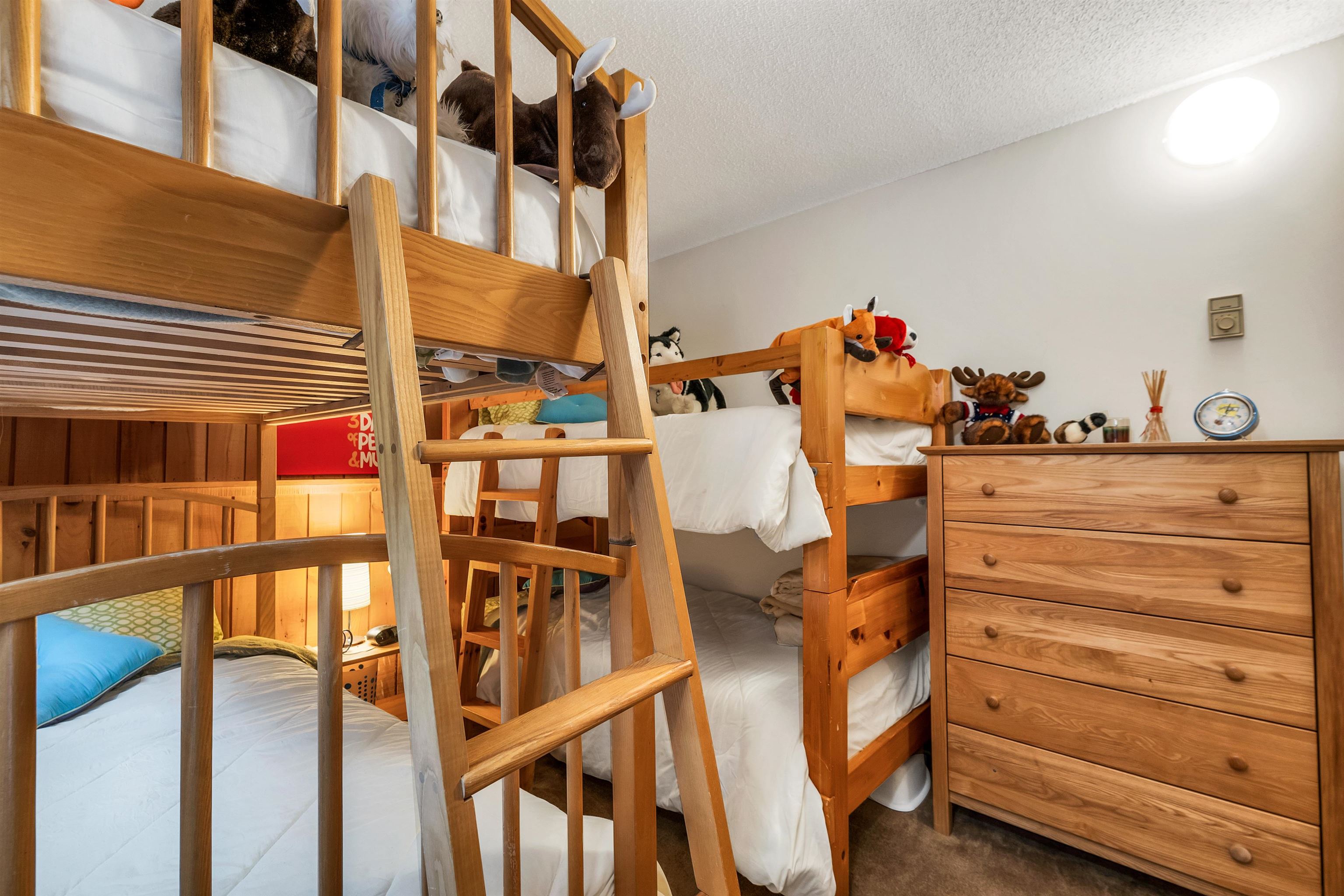 MLS #5055329 image #44