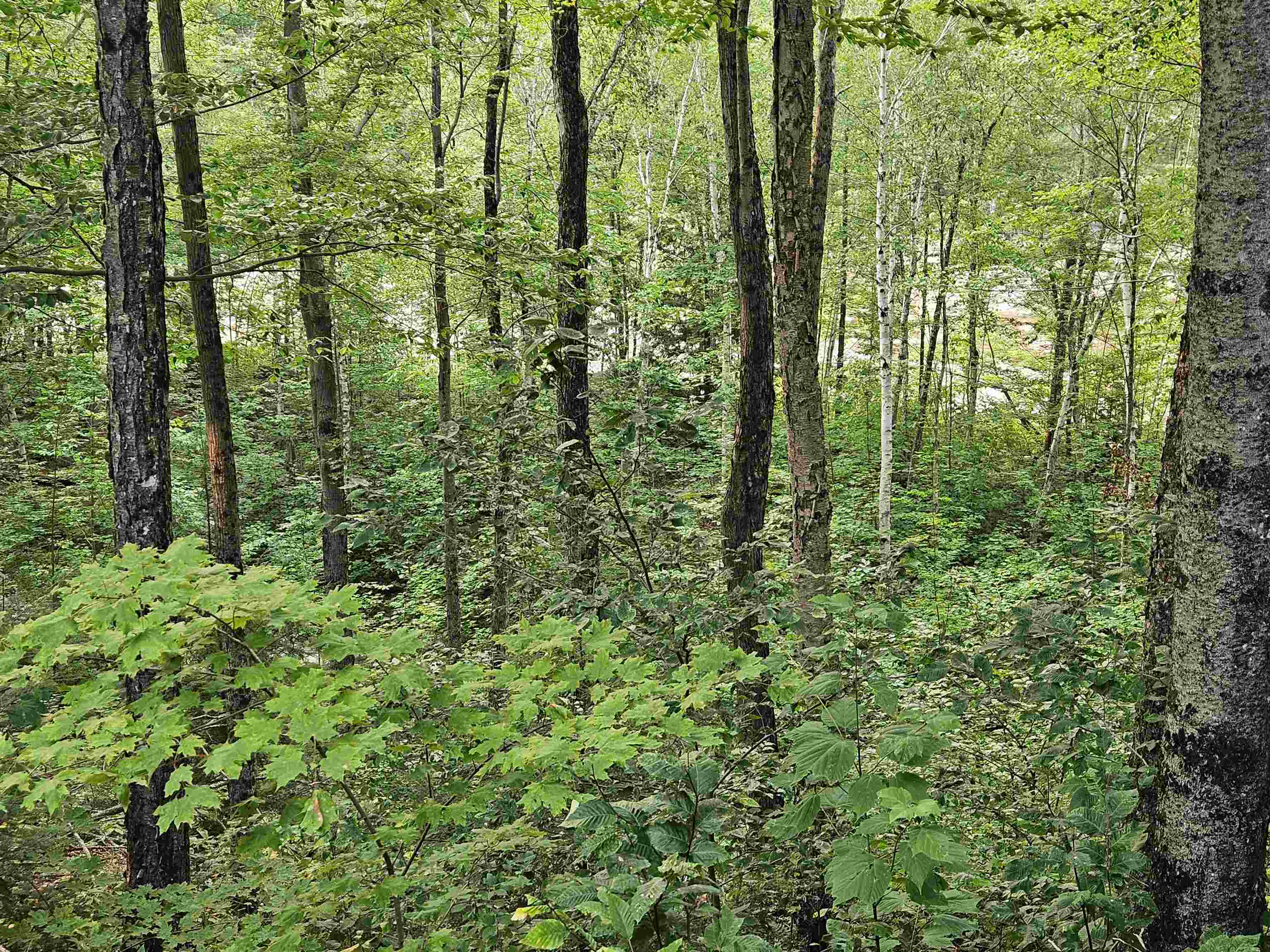 MLS #5055329 image #48