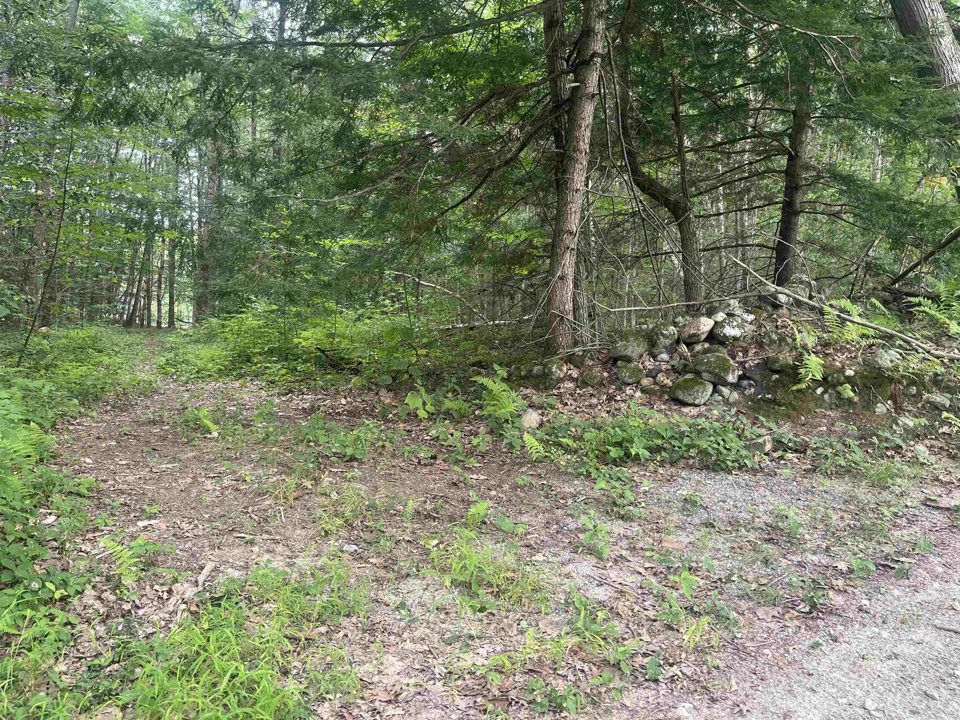 0 Monument Rd, Richmond, NH 03470