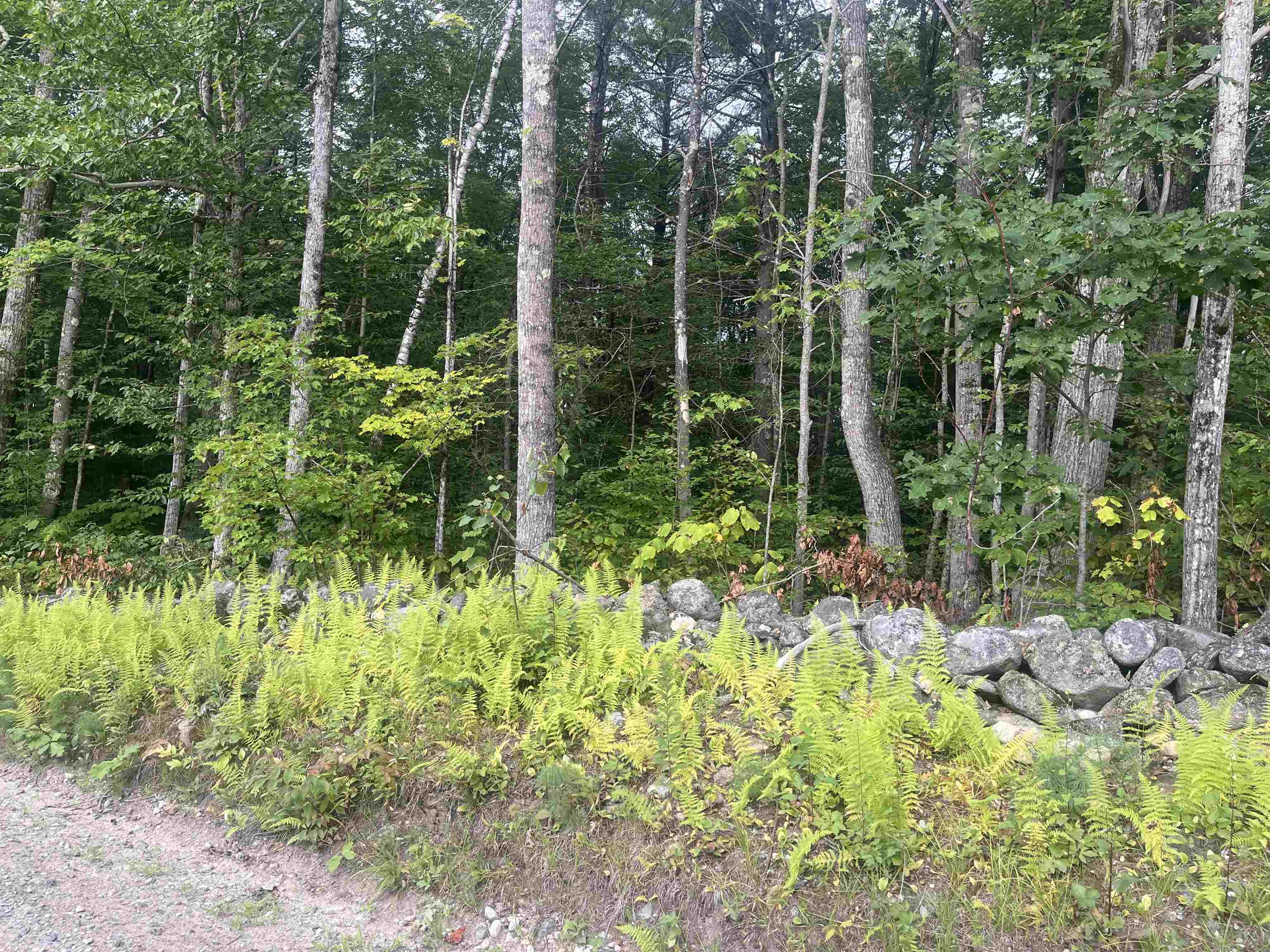 0 Monument Rd, Richmond, NH 03470