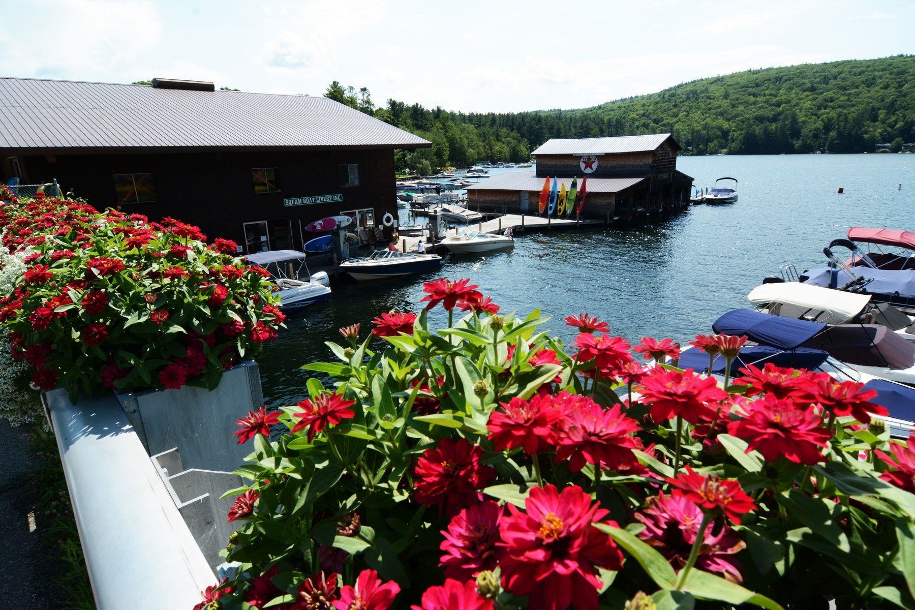 MLS #5055457 image #53