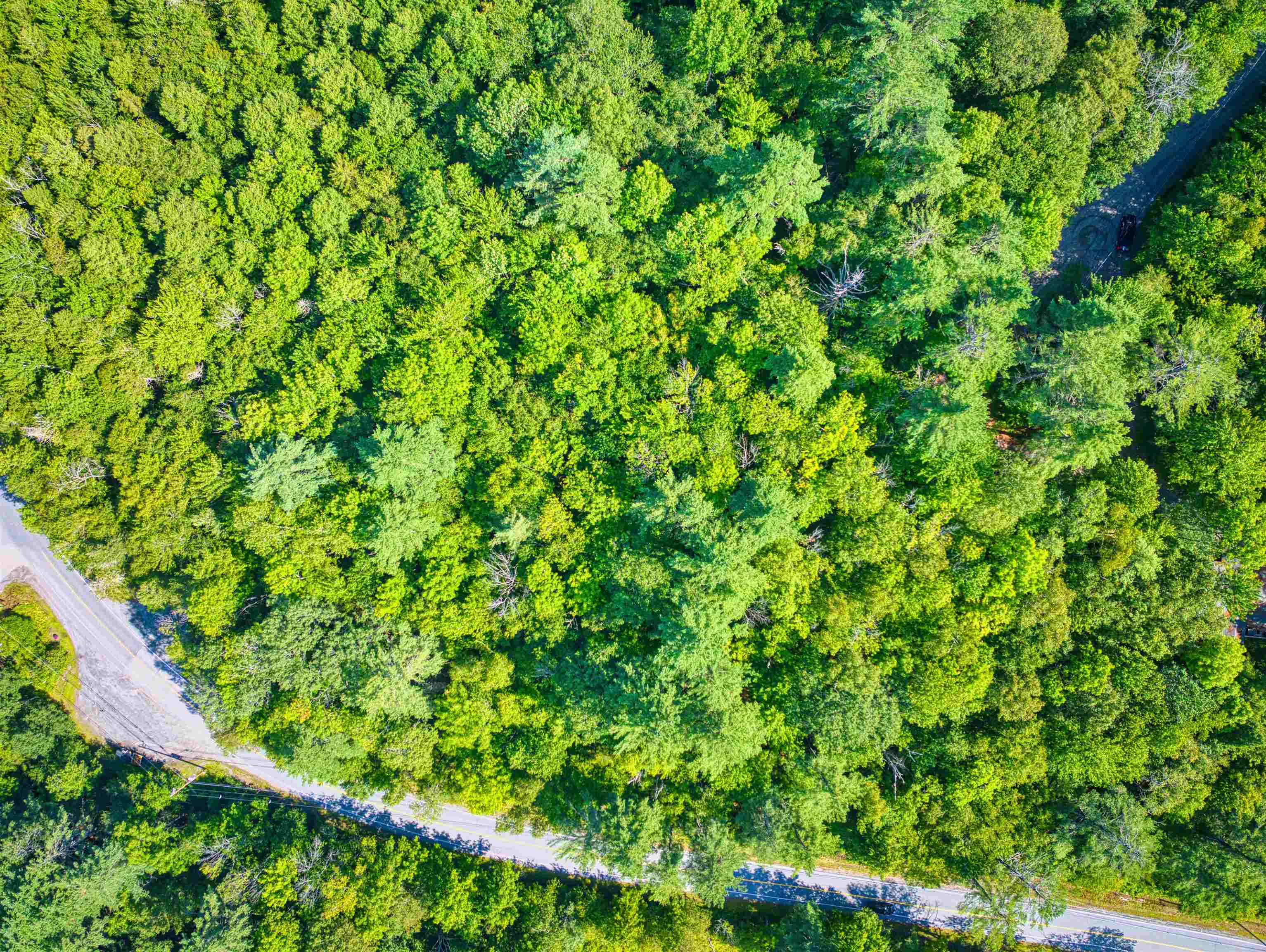 Grantham NH Land for sale $25,000 | 1.3 Acres  | Price Per Acre $0 