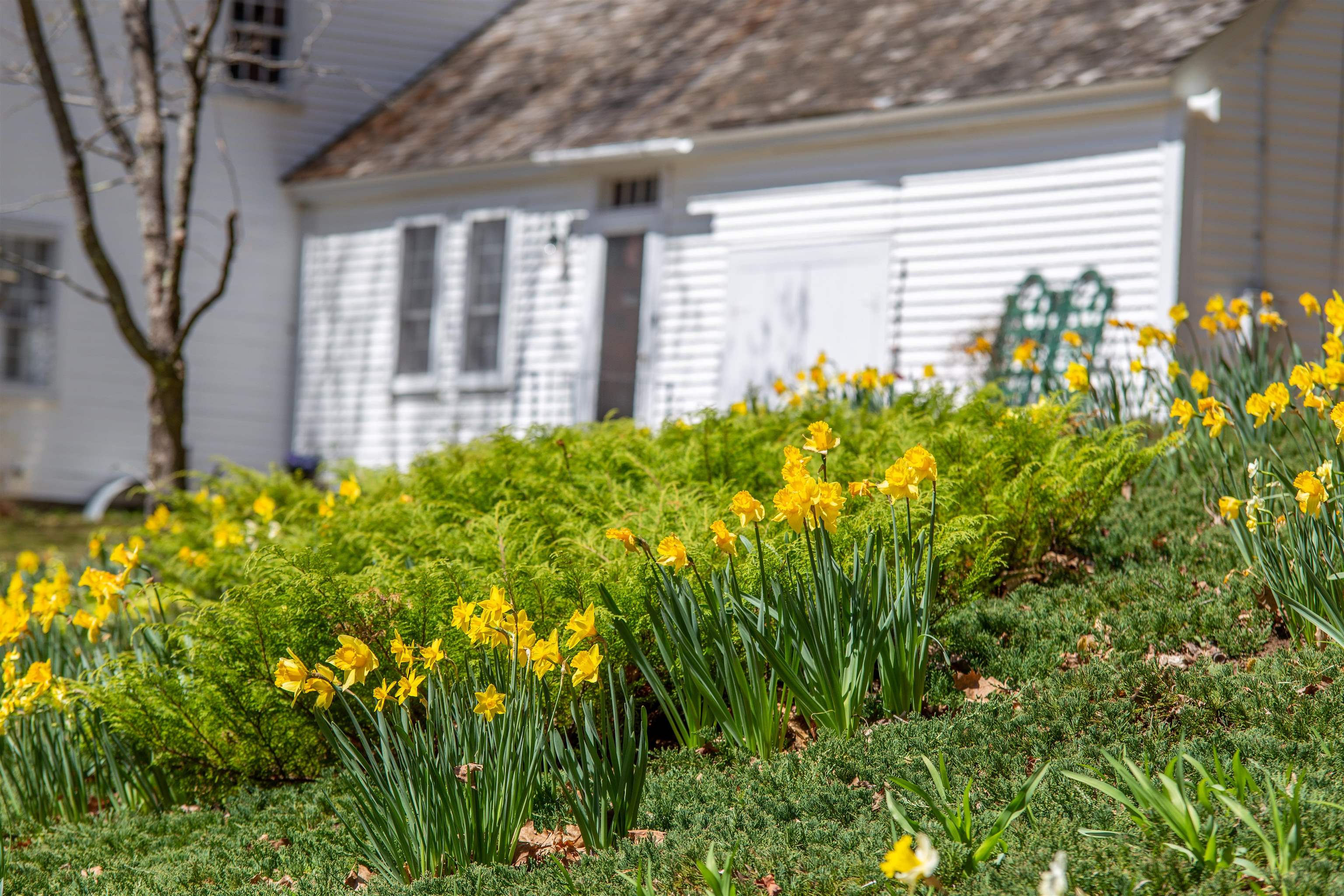 MLS #5055581 image #18