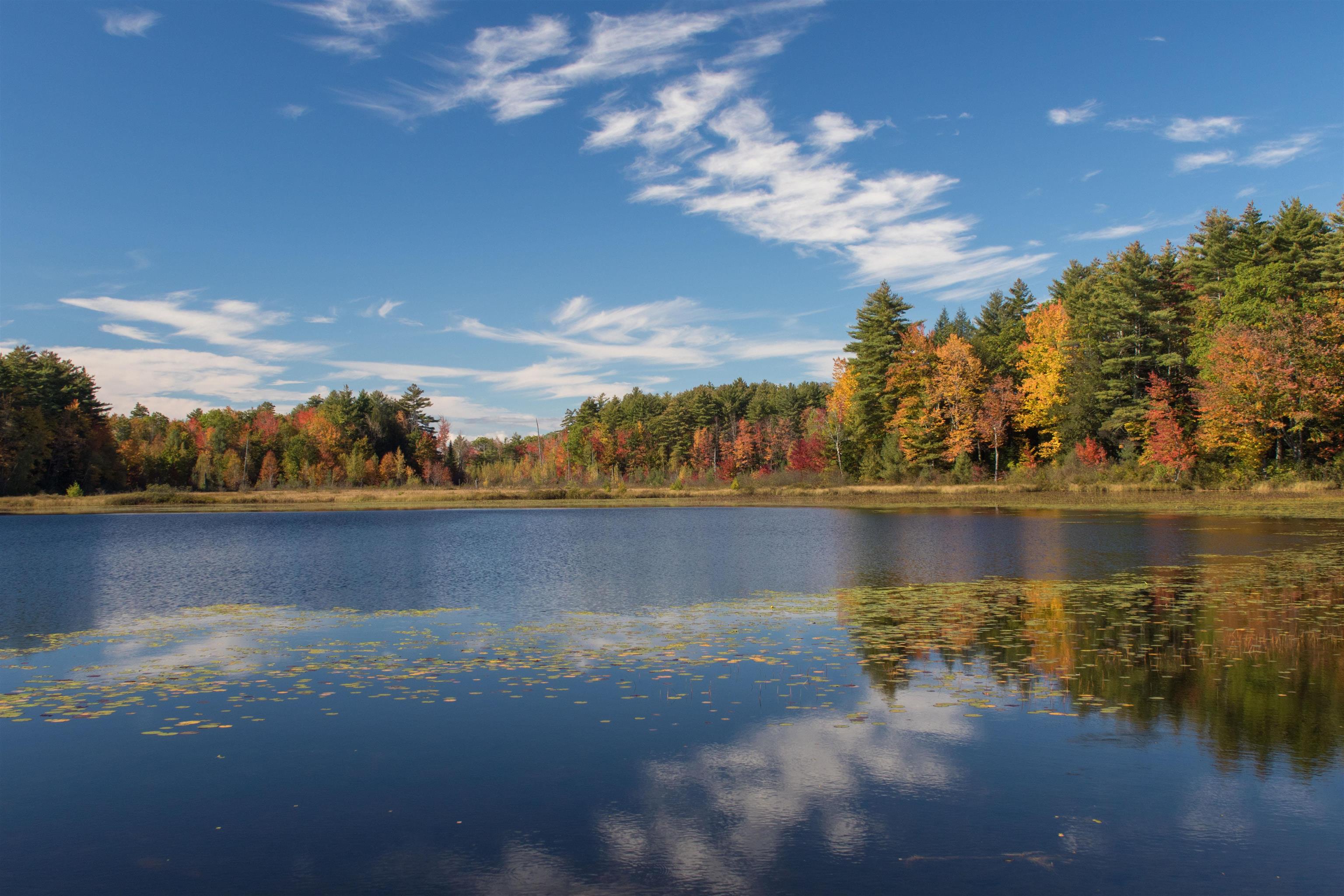 MLS #5055581 image #2