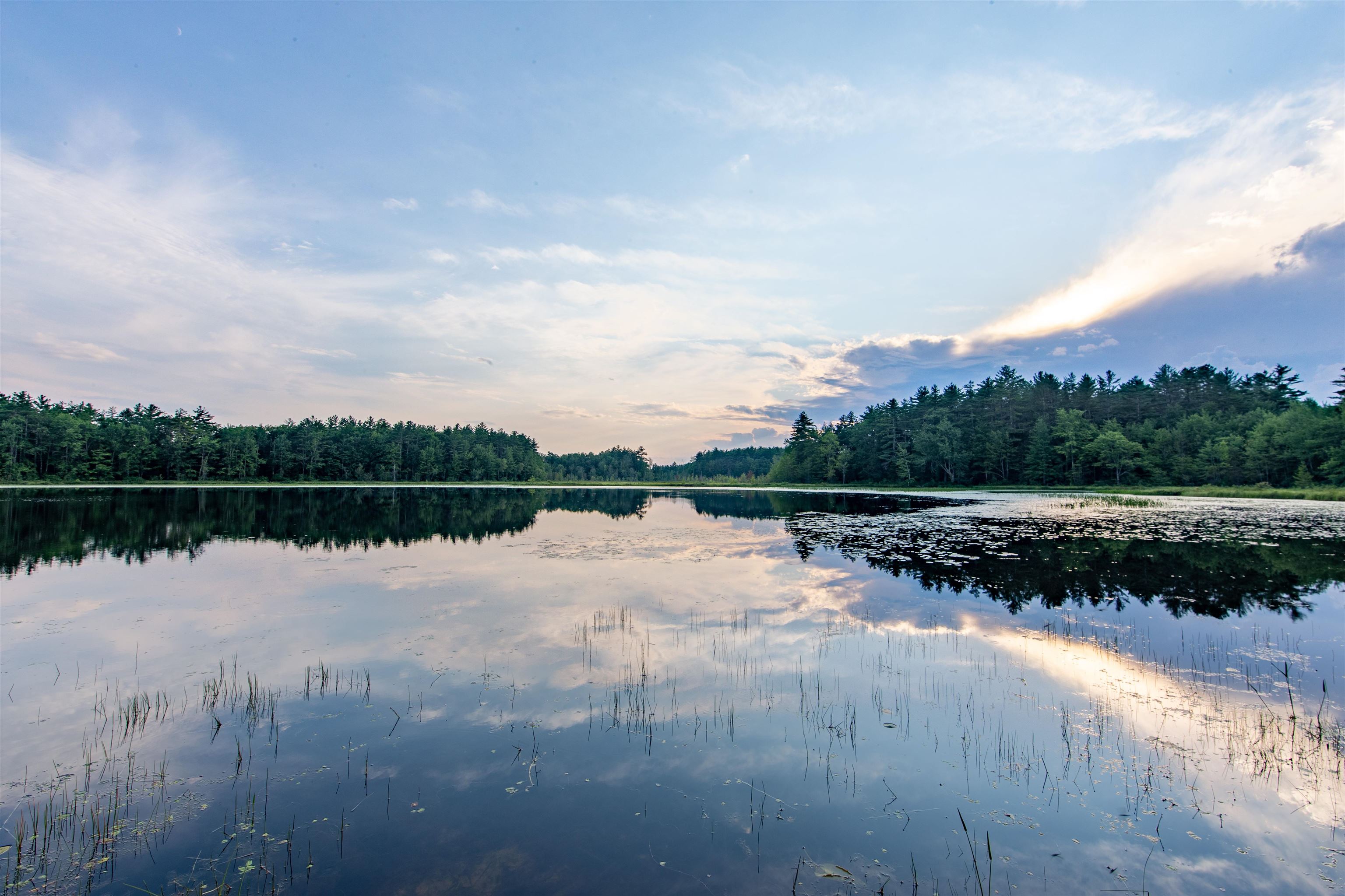 MLS #5055581 image #4