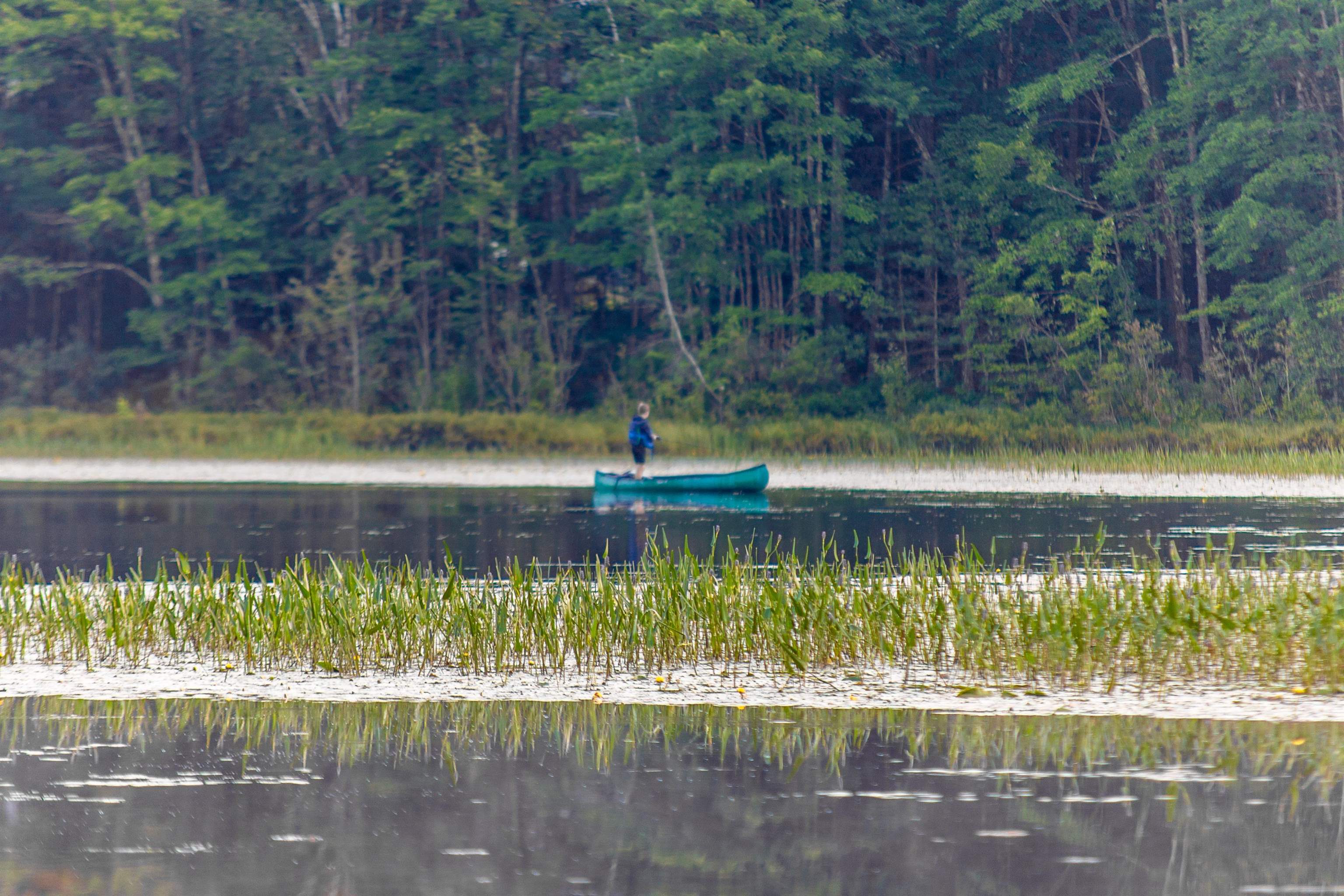 MLS #5055581 image #6