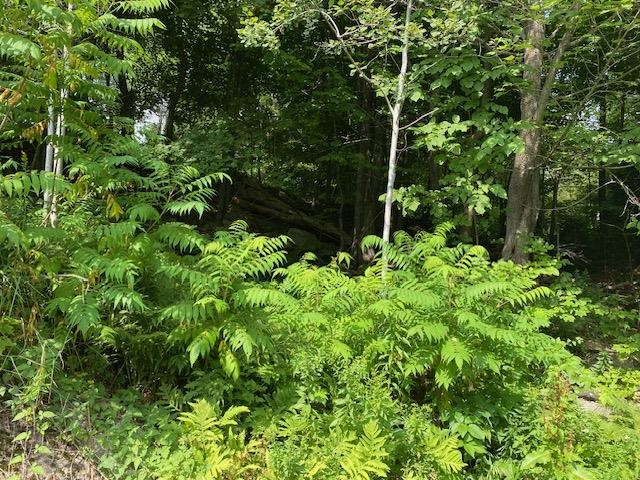 448 Church St, Berlin, NH 03570