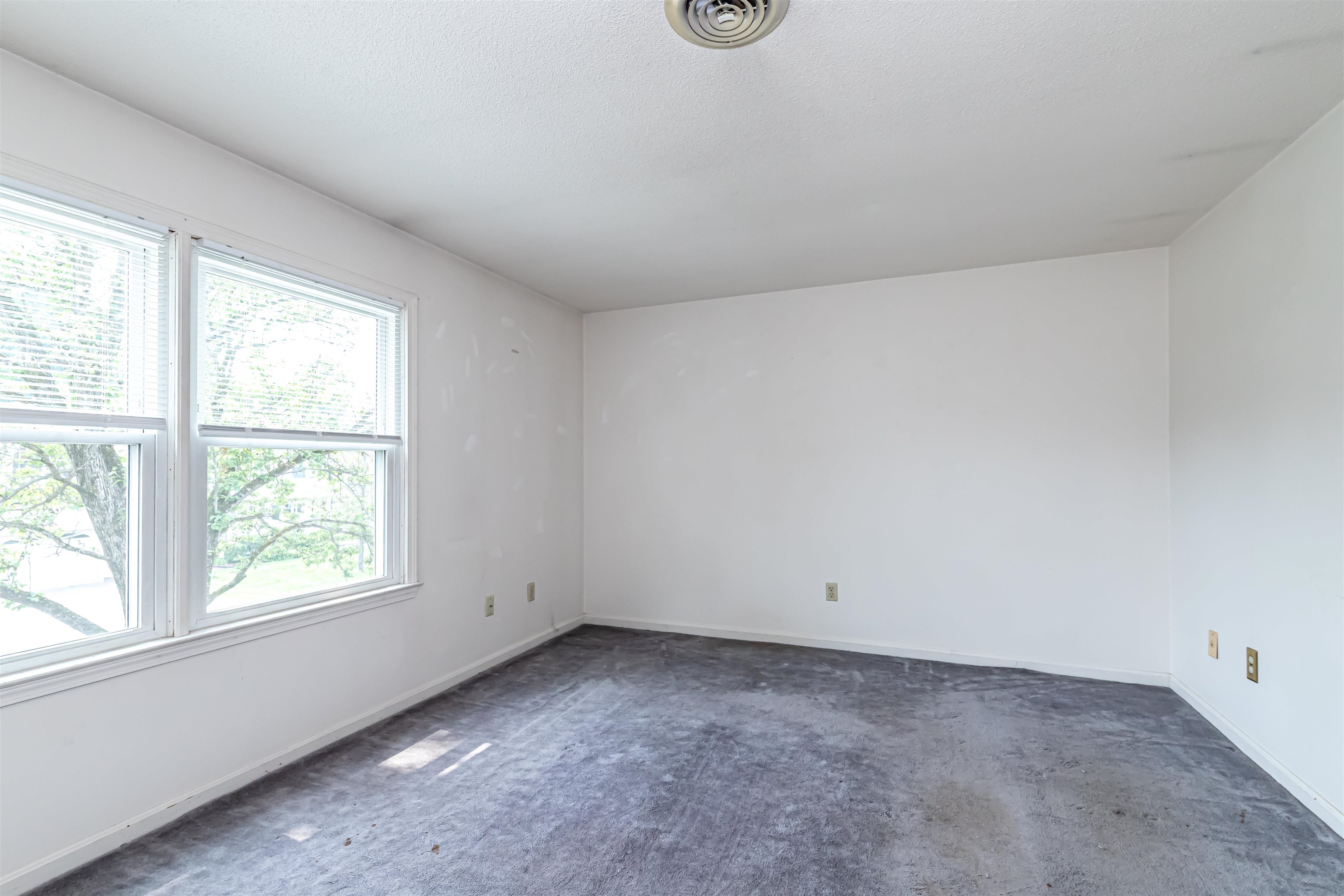 MLS #5055713 image #23