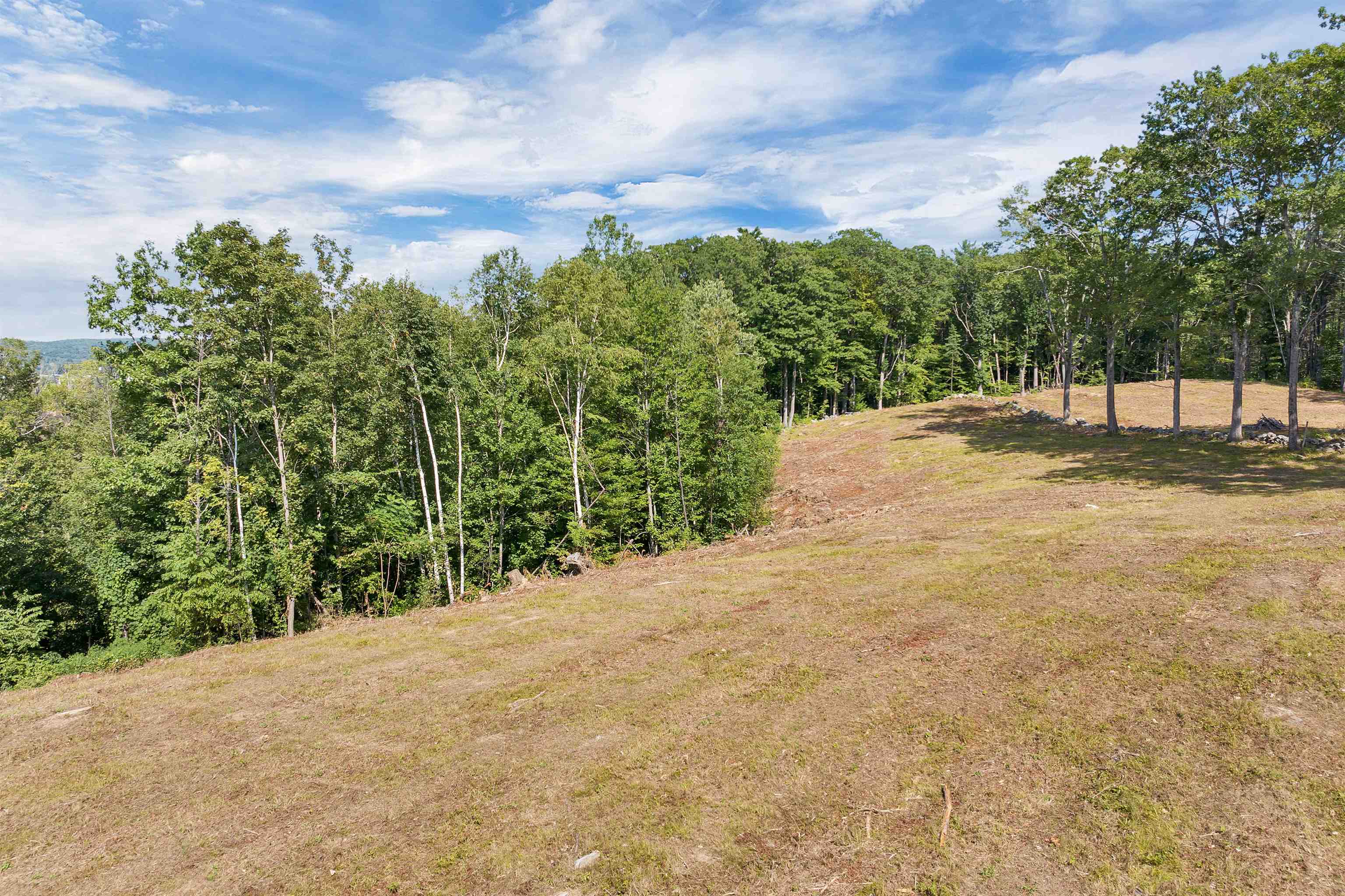 MLS #5055743 image #27