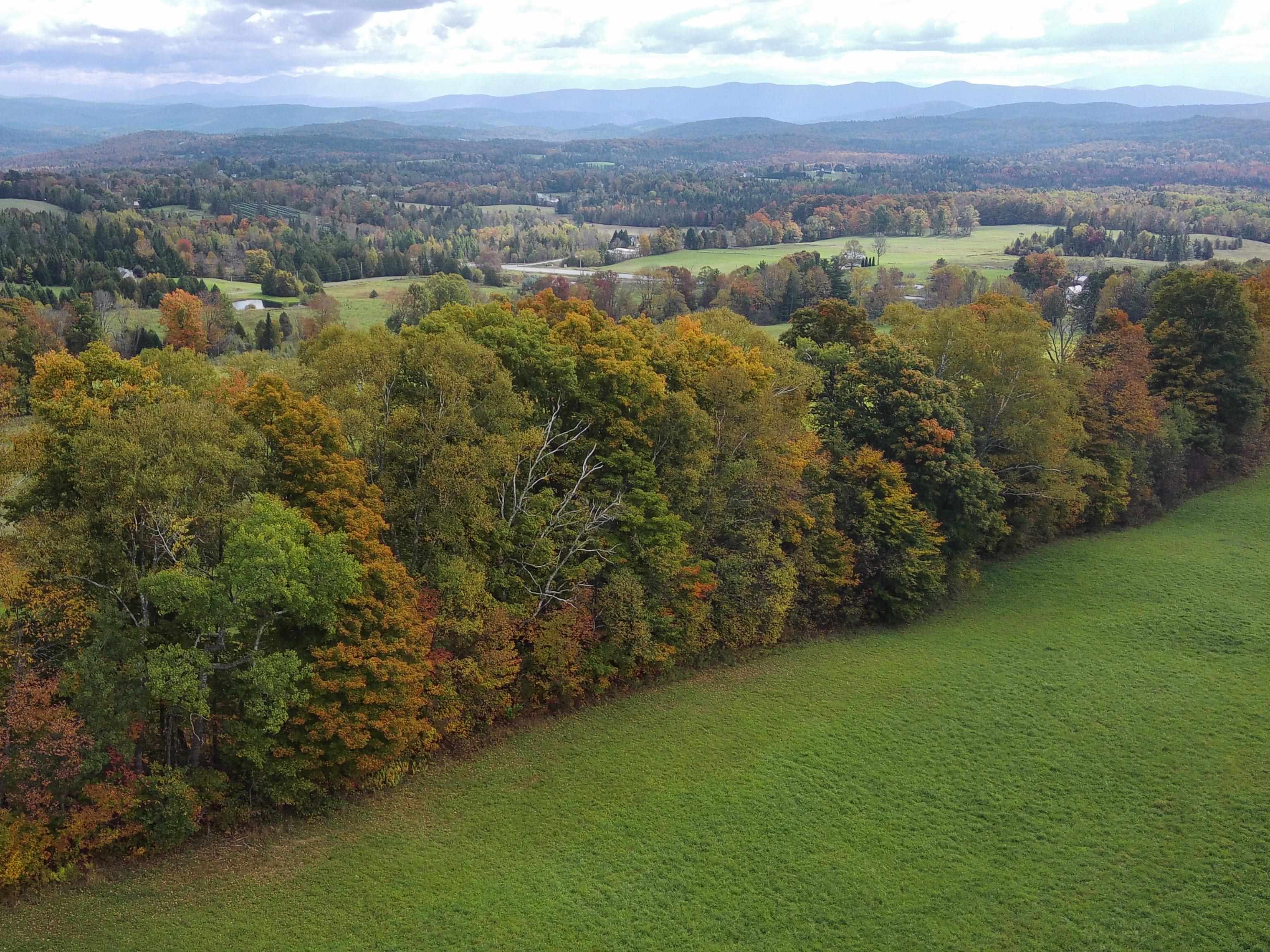 Homes for sale in Danville, VT | 00 Walden Hill Rd, Danville, VT 05828 | MLS# 5055777