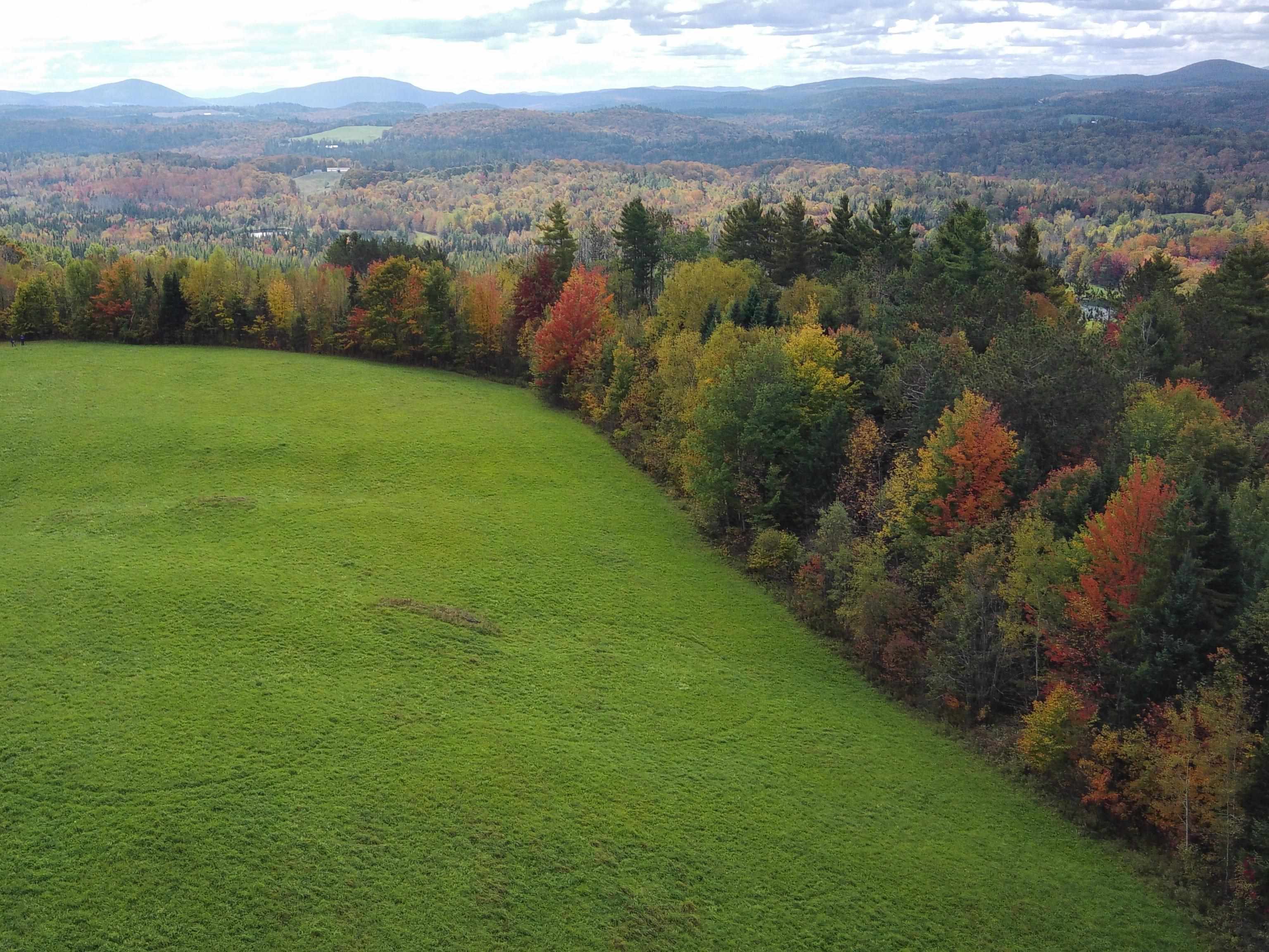 Homes for sale in Danville, VT | 00 Walden Hill Rd, Danville, VT 05828 | MLS# 5055777