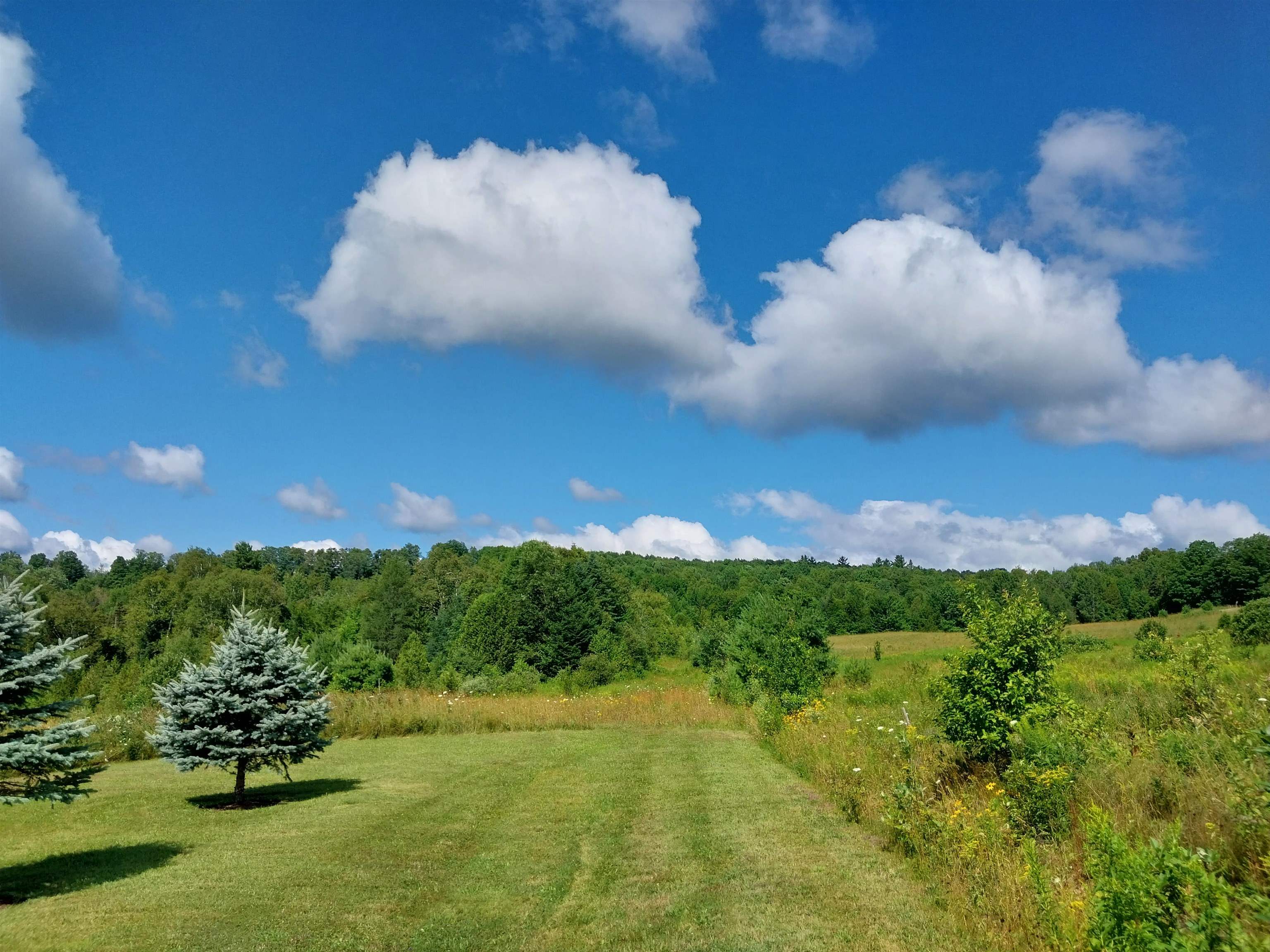 Homes for sale in Danville, VT | 00 Walden Hill Rd, Danville, VT 05828 | MLS# 5055777