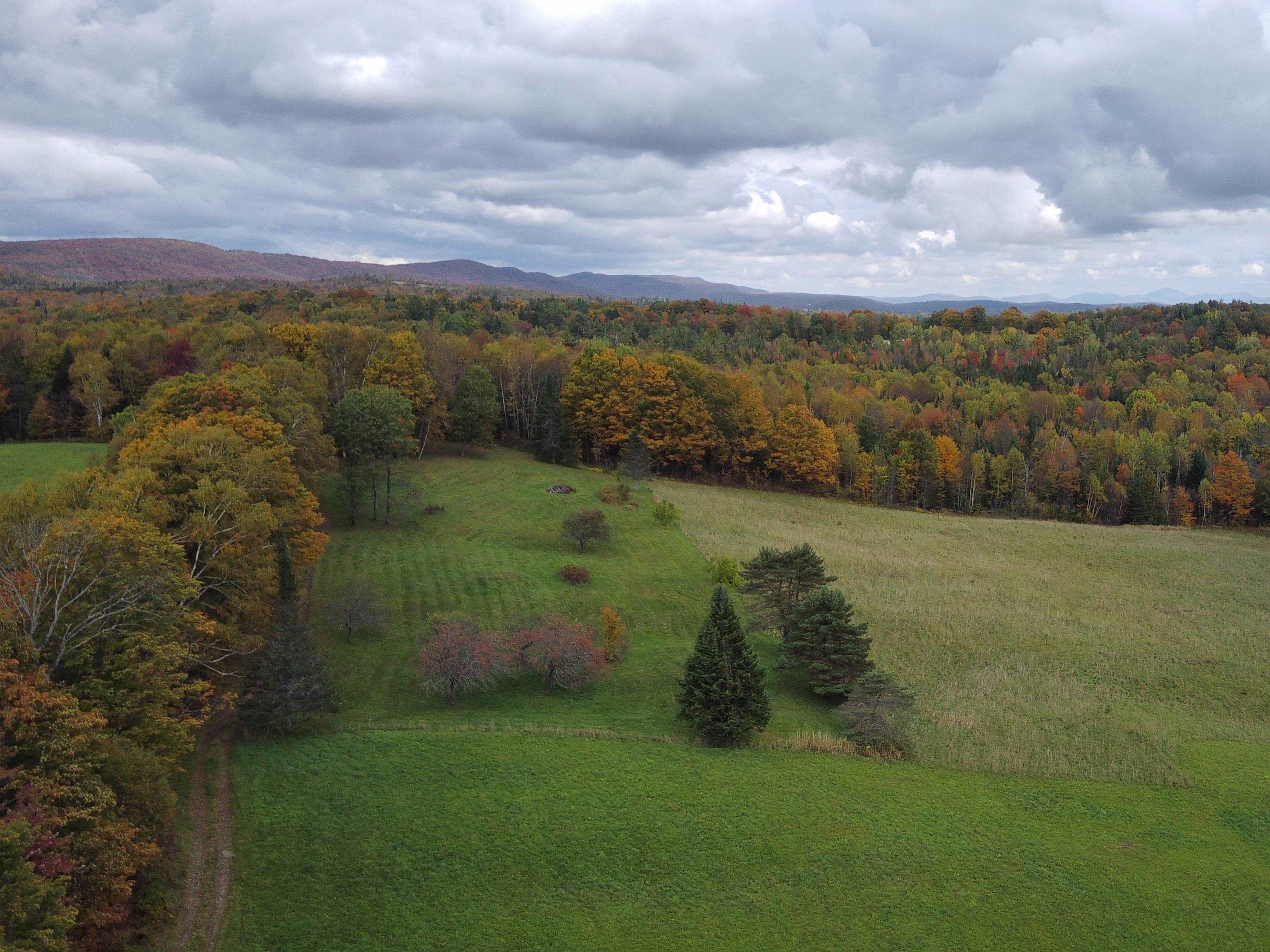 Homes for sale in Danville, VT | 00 Walden Hill Rd, Danville, VT 05828 | MLS# 5055777