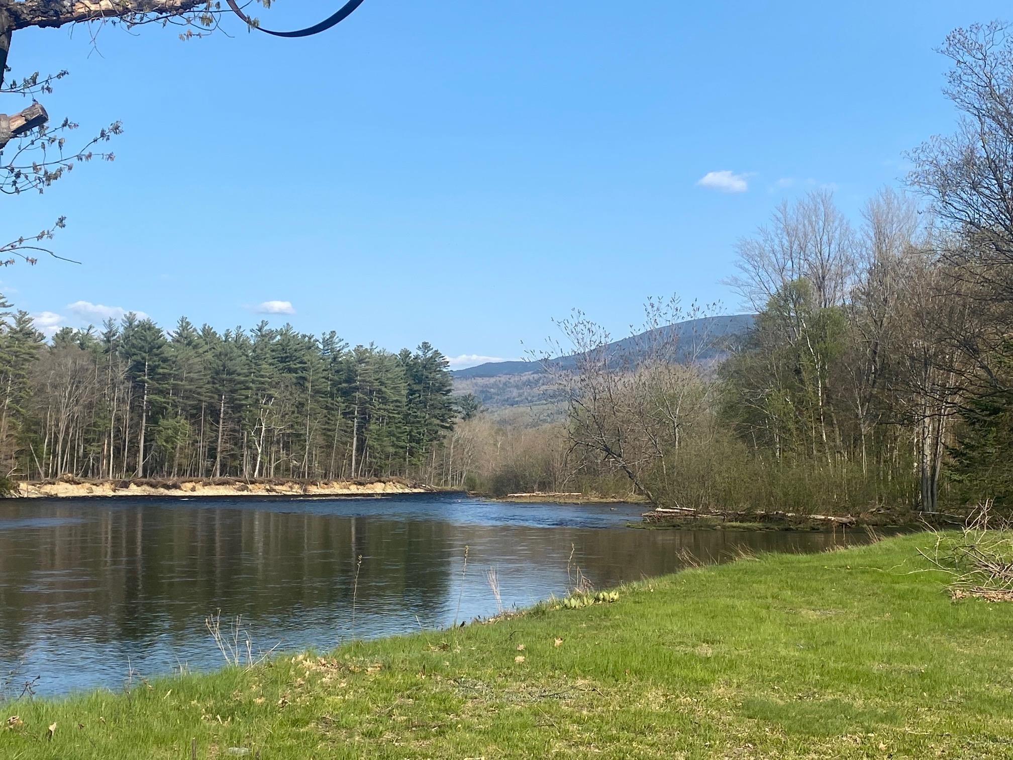 MLS #5056006 image #5