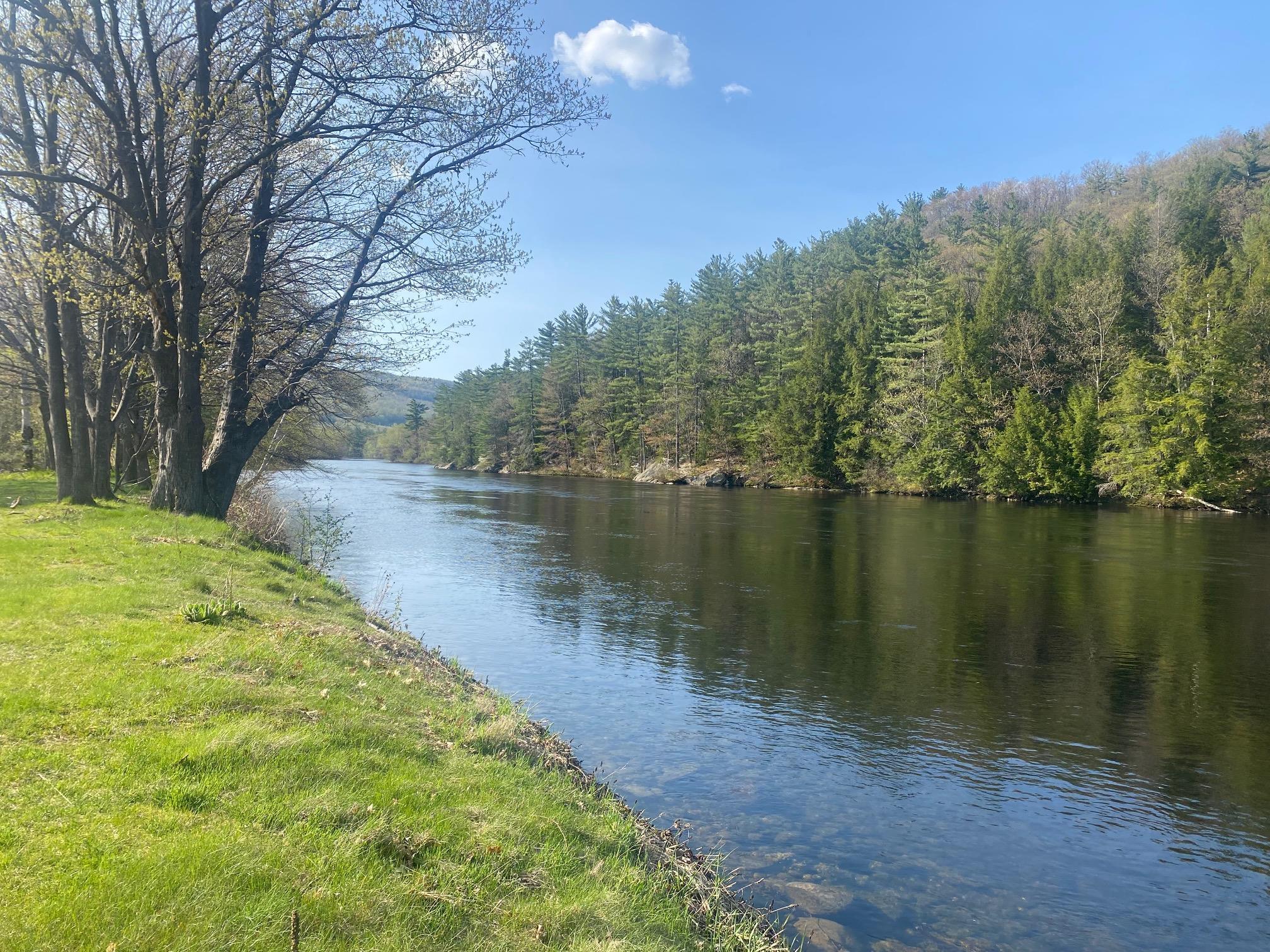 MLS #5056006 image #6