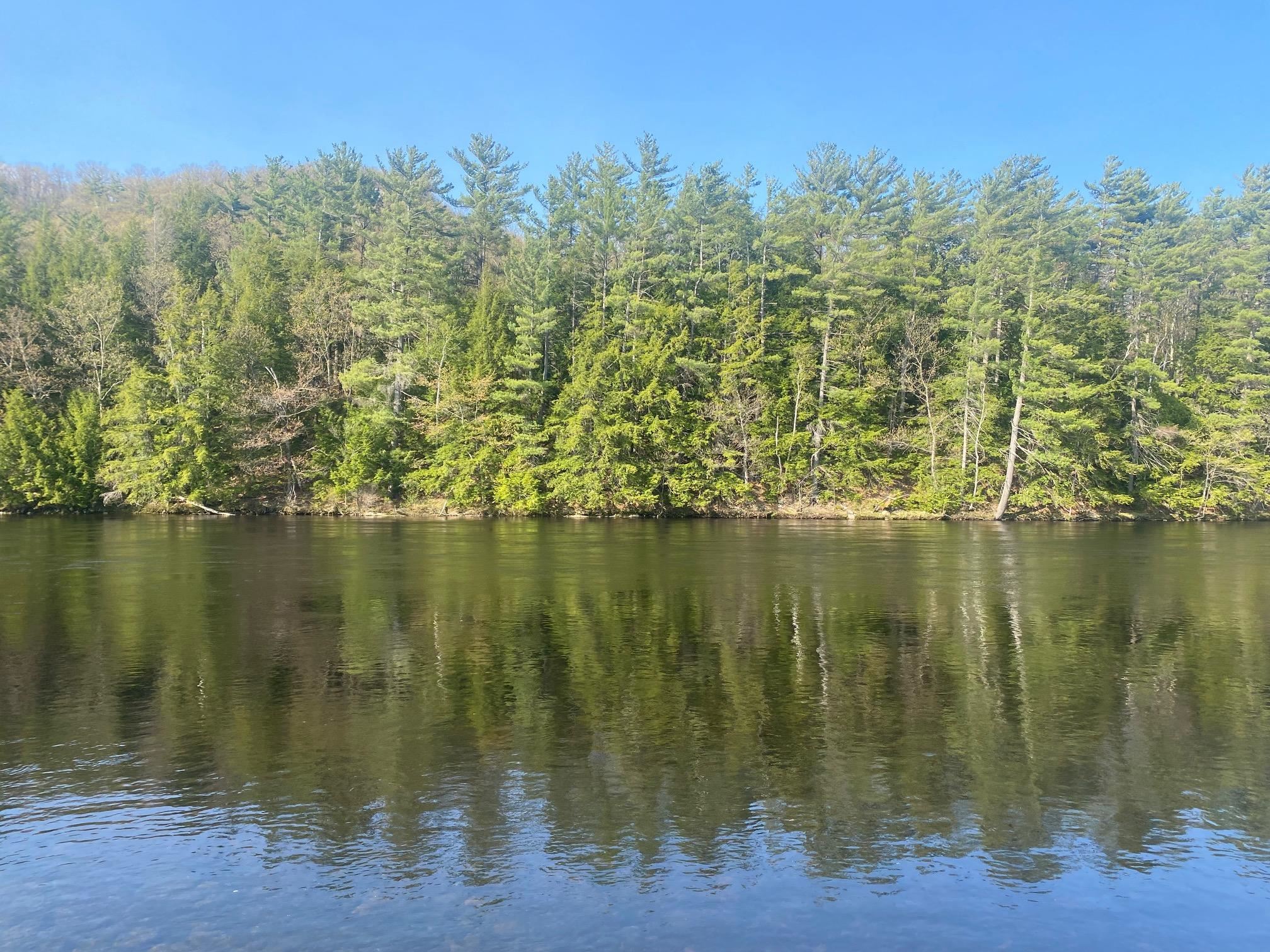 MLS #5056006 image #8