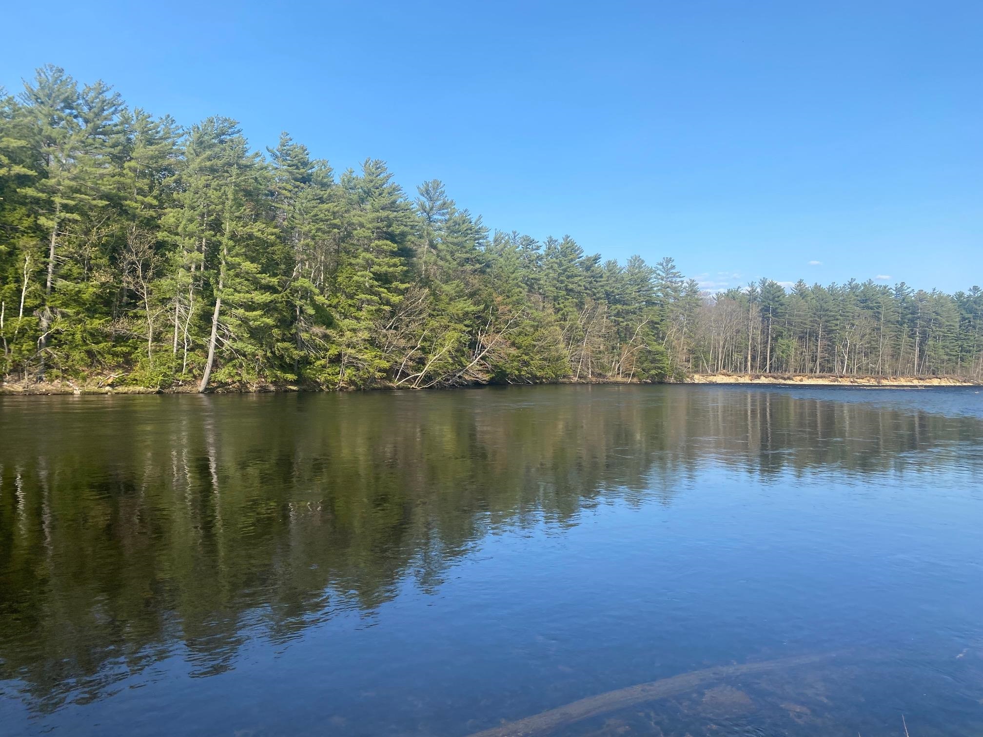 MLS #5056006 image #9