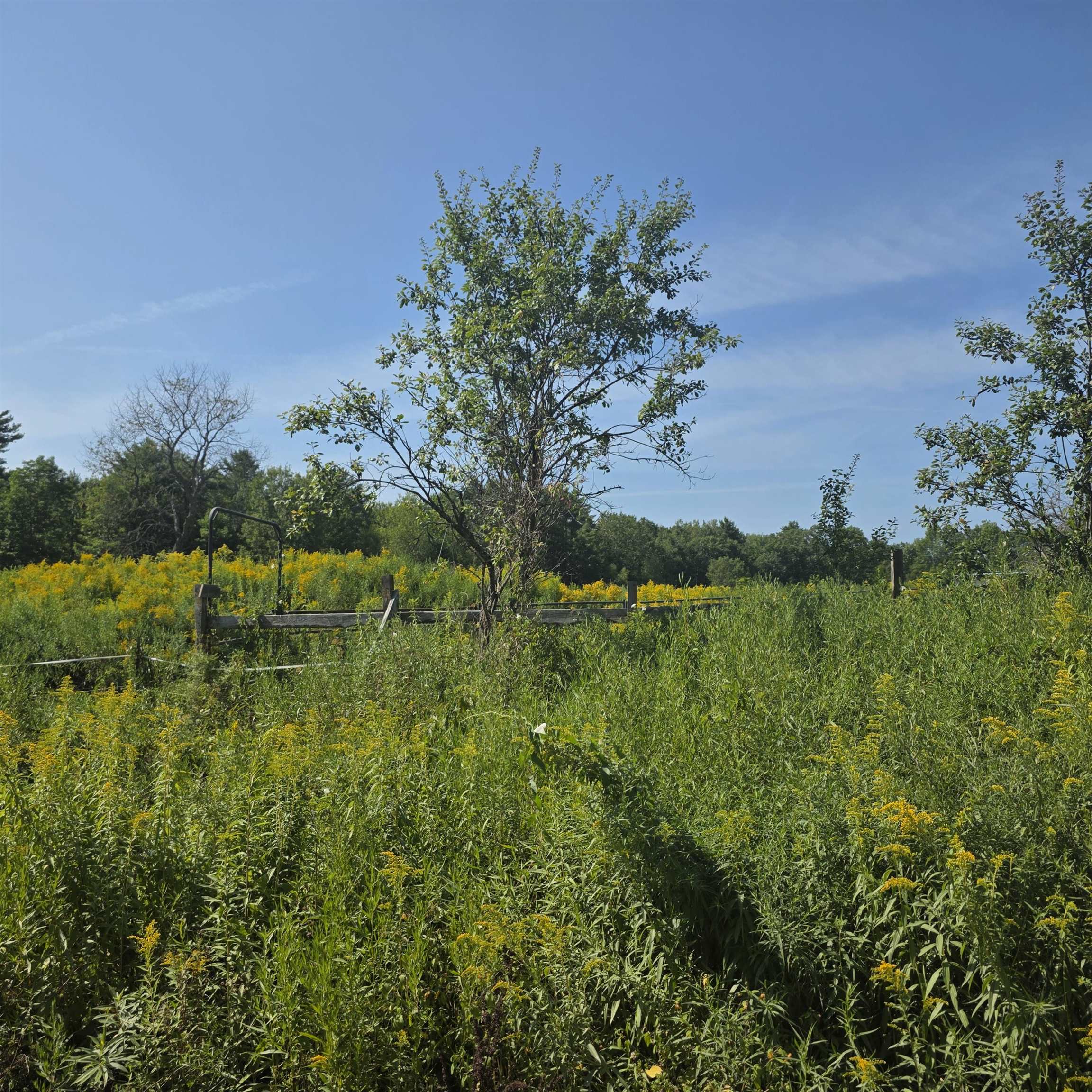 A Lot of Flat Open Space 23866150