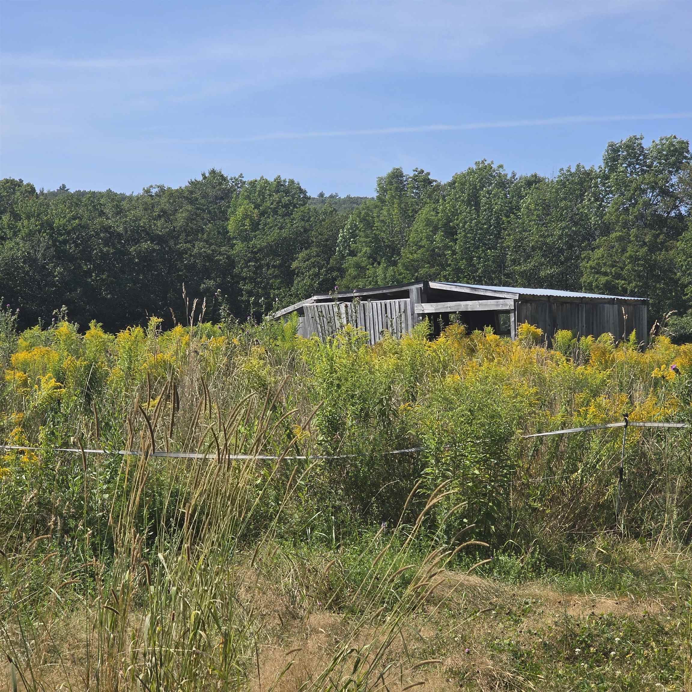 Many Out Buildings 23866152