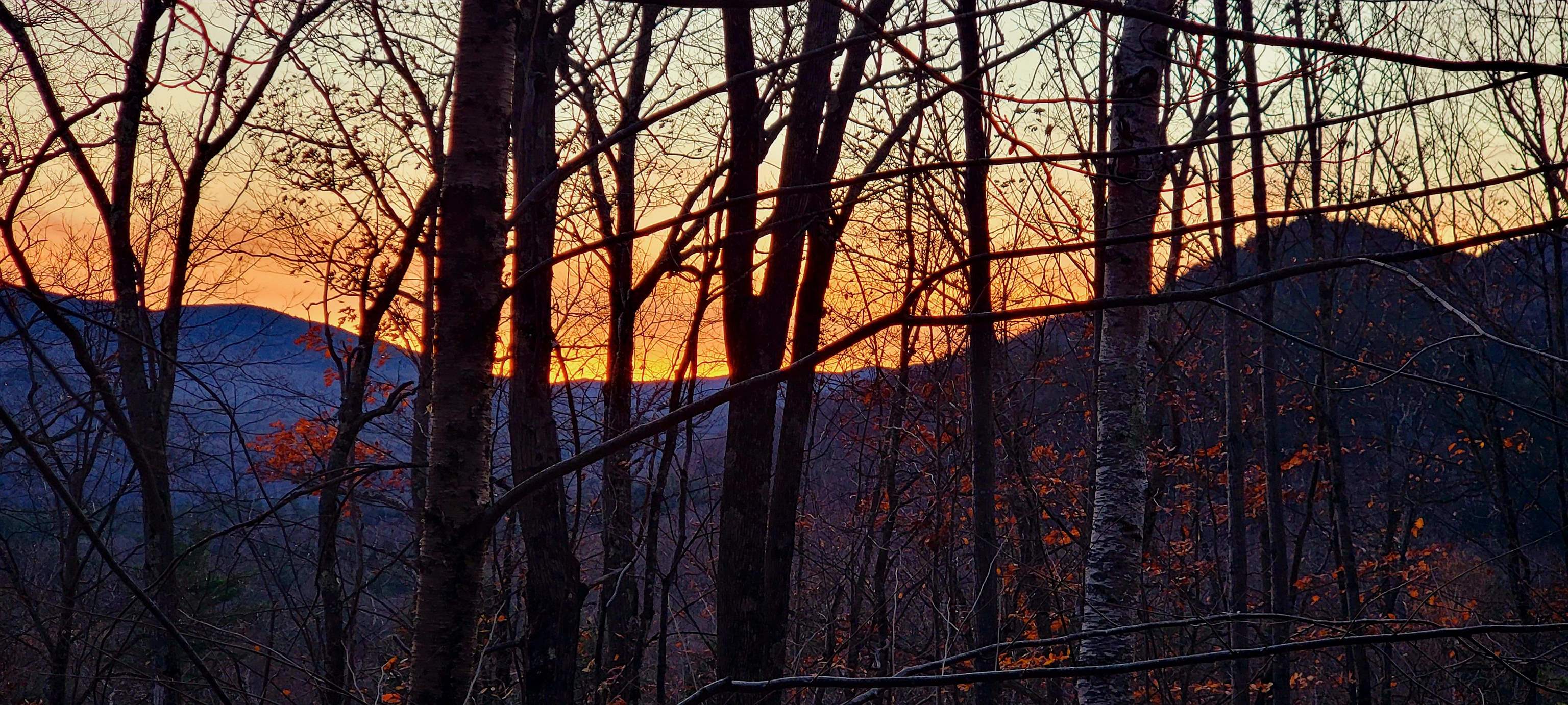 MLS #5056201 image #40