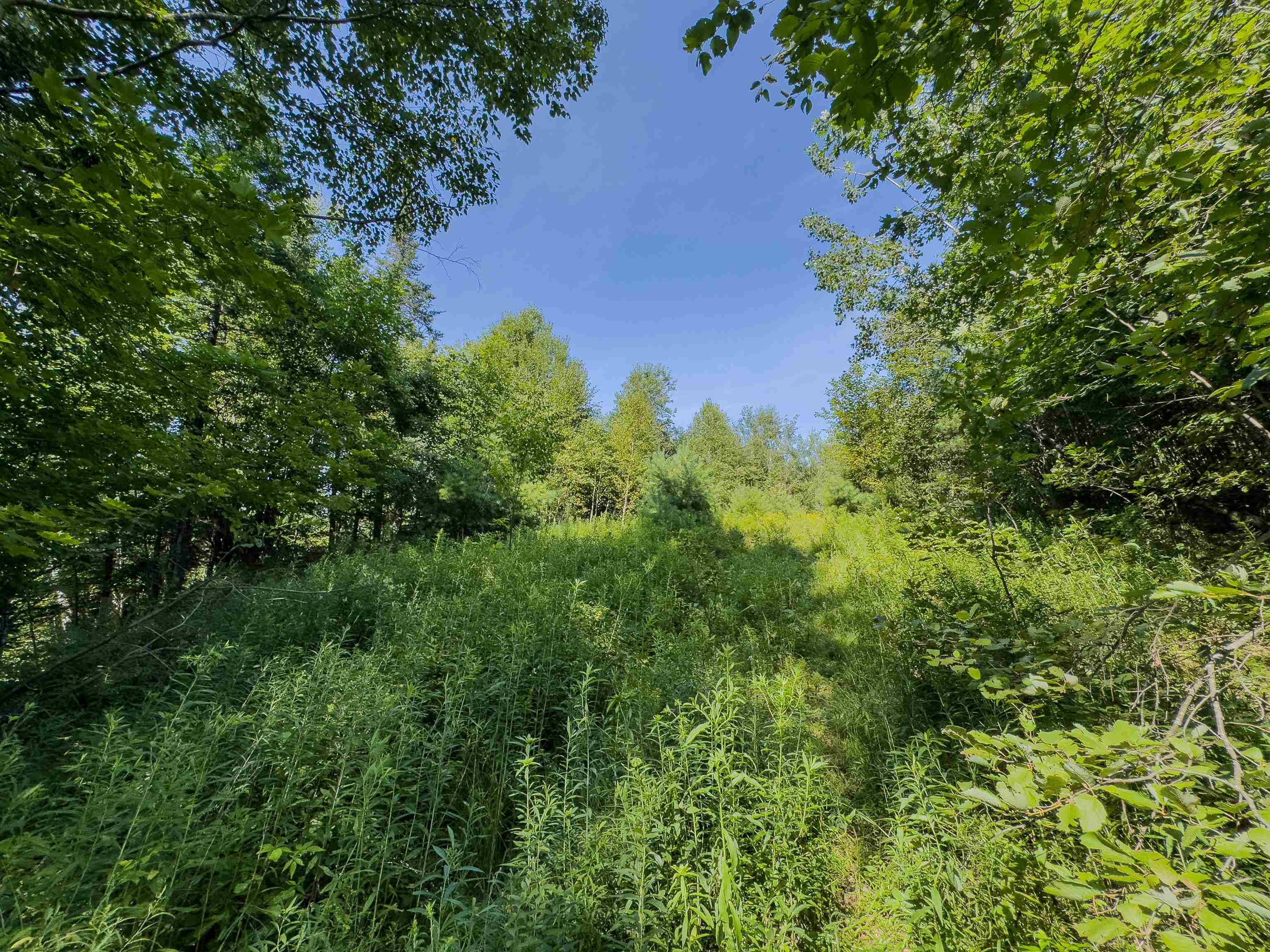 Homes for sale in Haverhill, NH | 00 Brushwood Rd, Haverhill, NH 03765 | MLS# 5056278