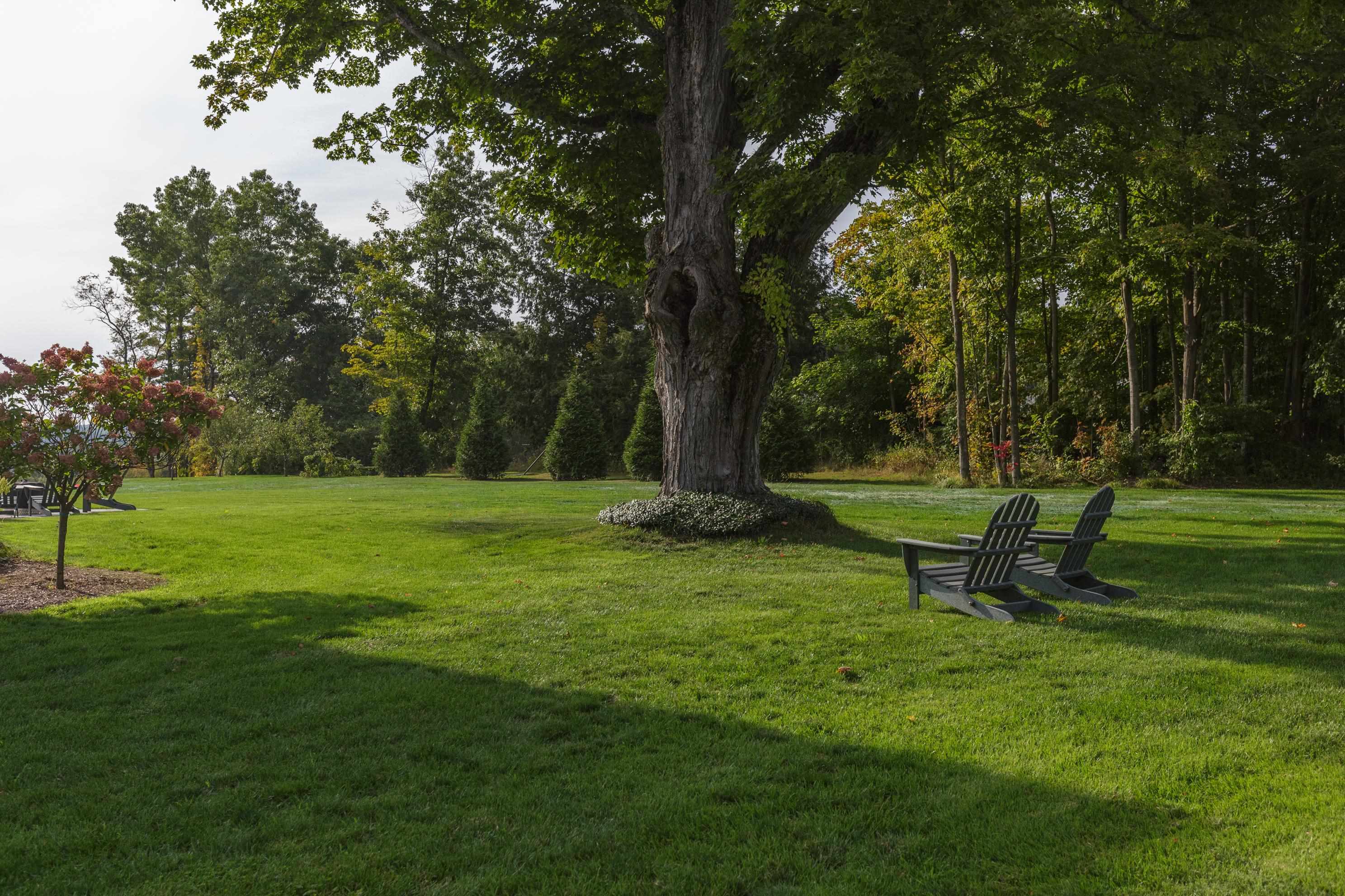 MLS #5056455 image #46