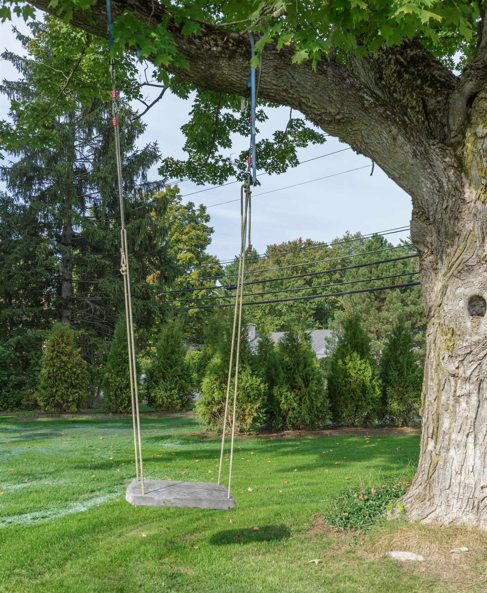 MLS #5056455 image #6